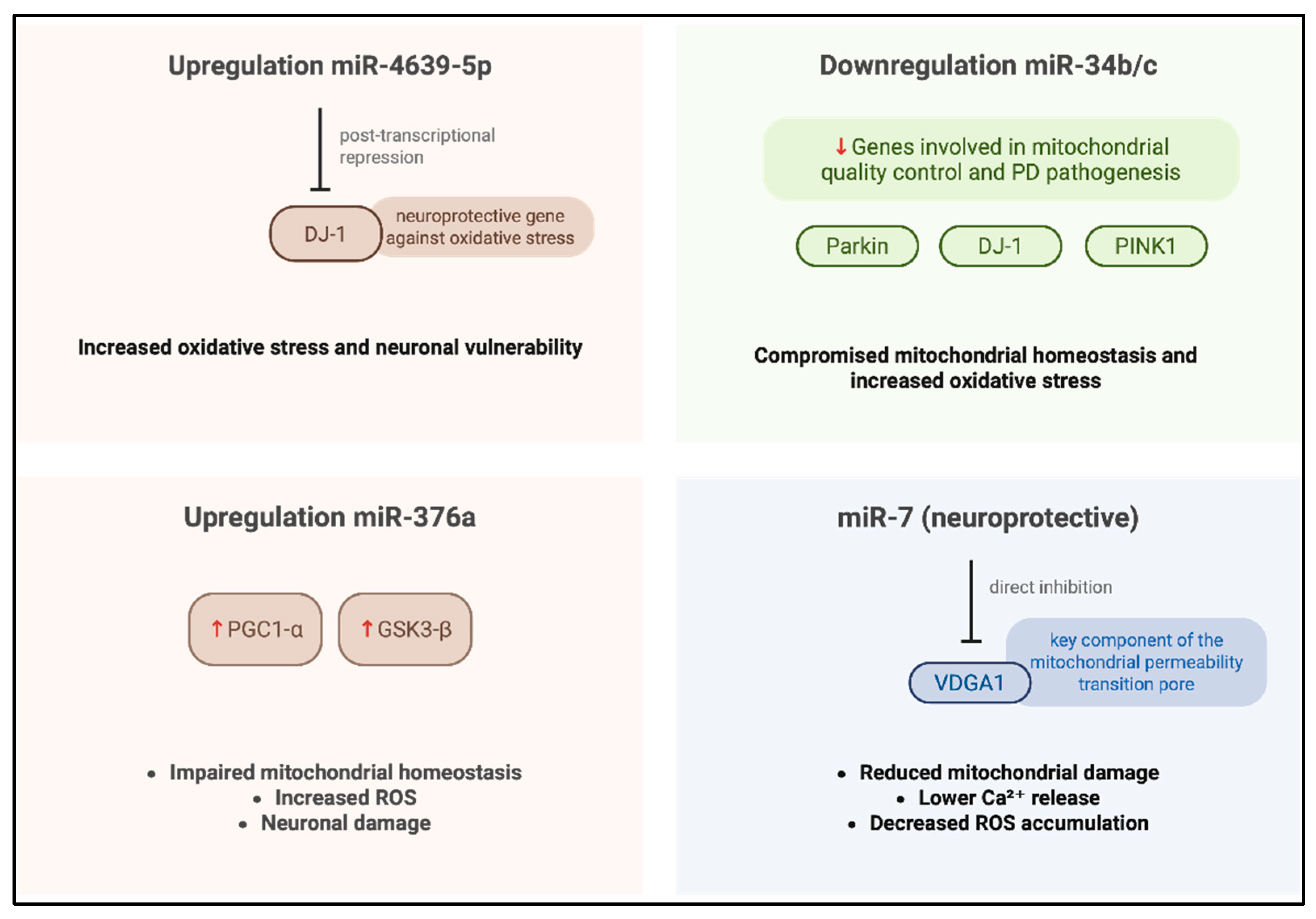 Biomedicines 14 00313 g003 Biomedicines 14 00313 g003