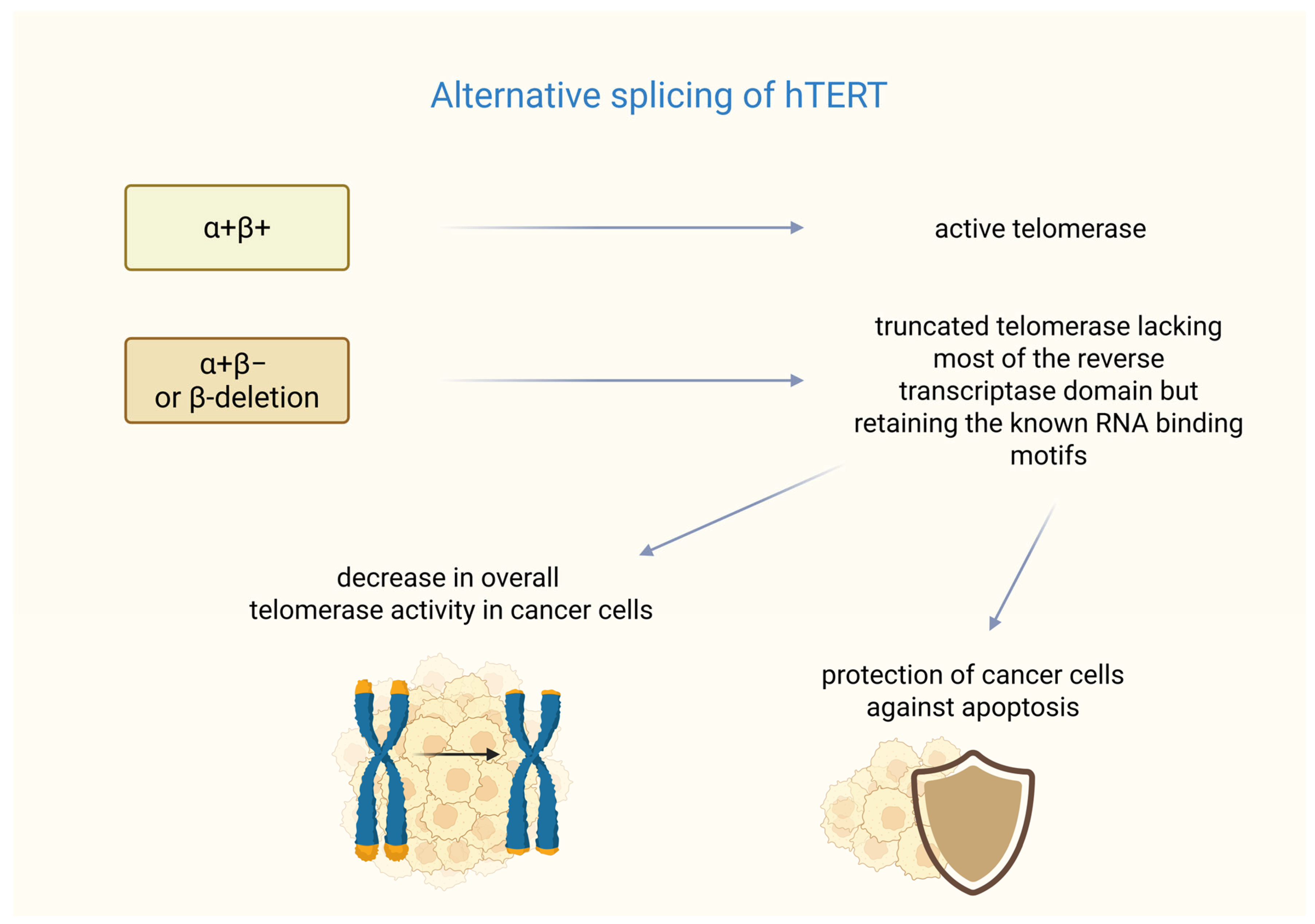 Biomedicines 14 00314 g001 Biomedicines 14 00314 g001