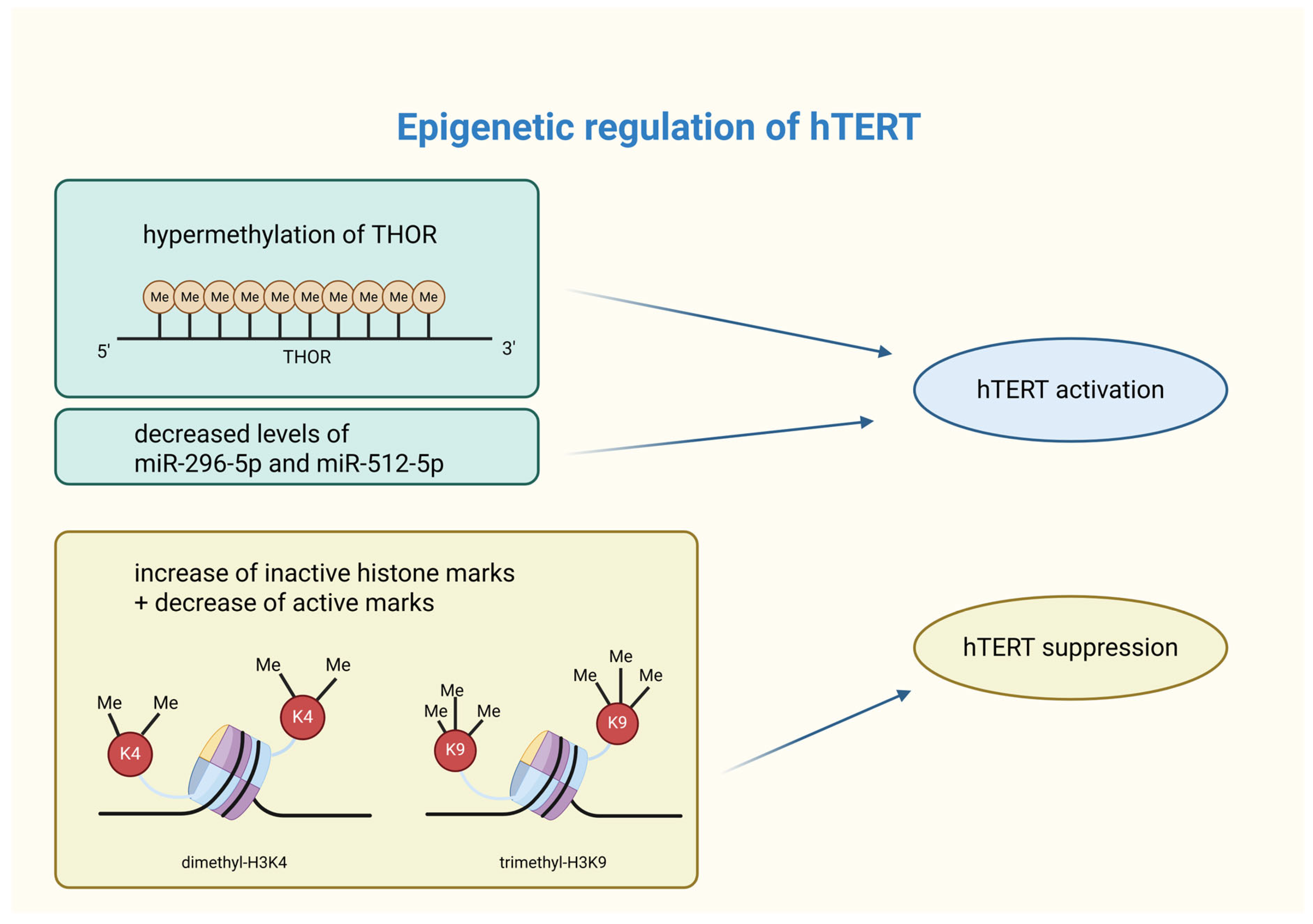 Biomedicines 14 00314 g002 Biomedicines 14 00314 g002