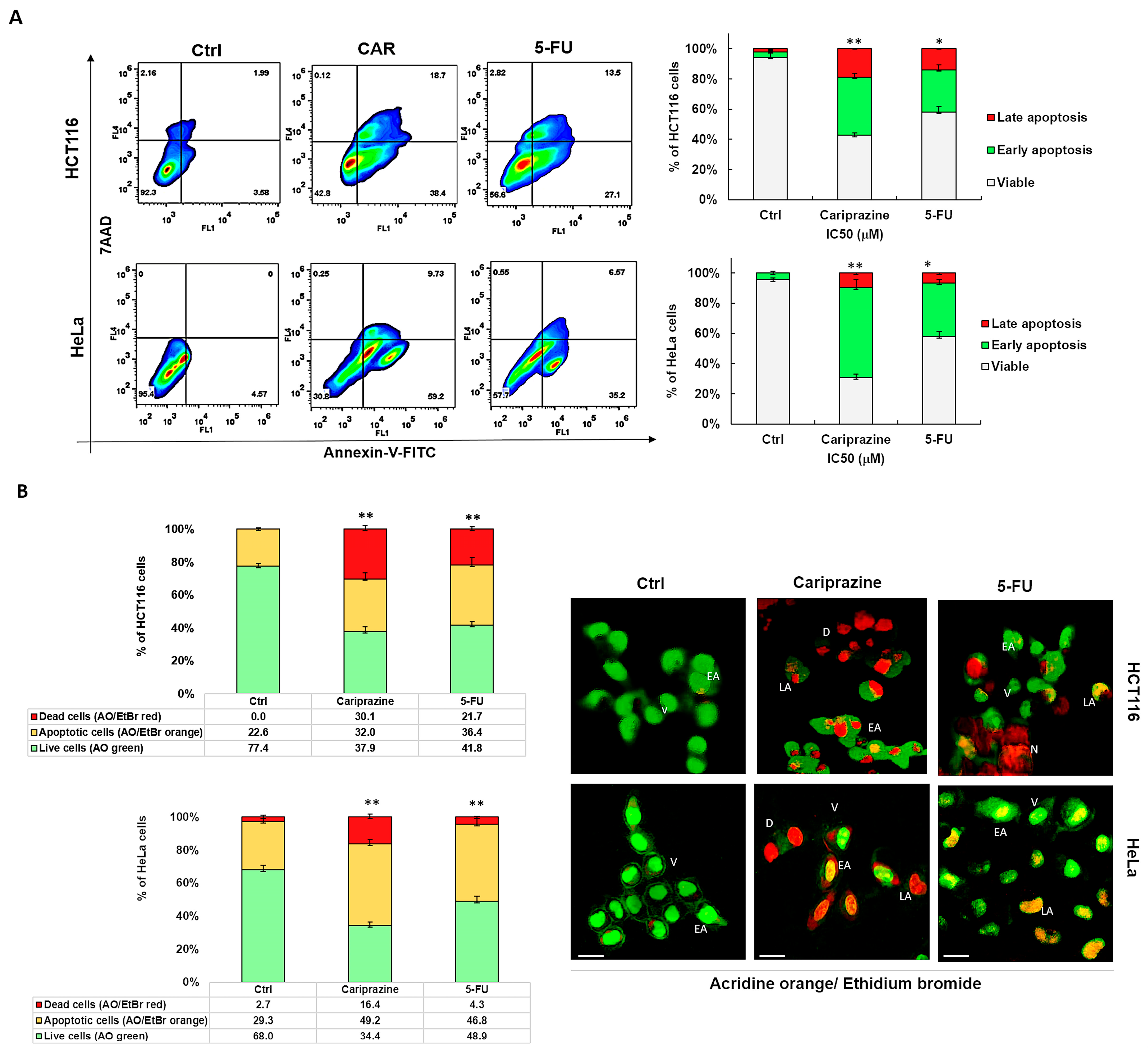Biomedicines 14 00315 g003 Biomedicines 14 00315 g003