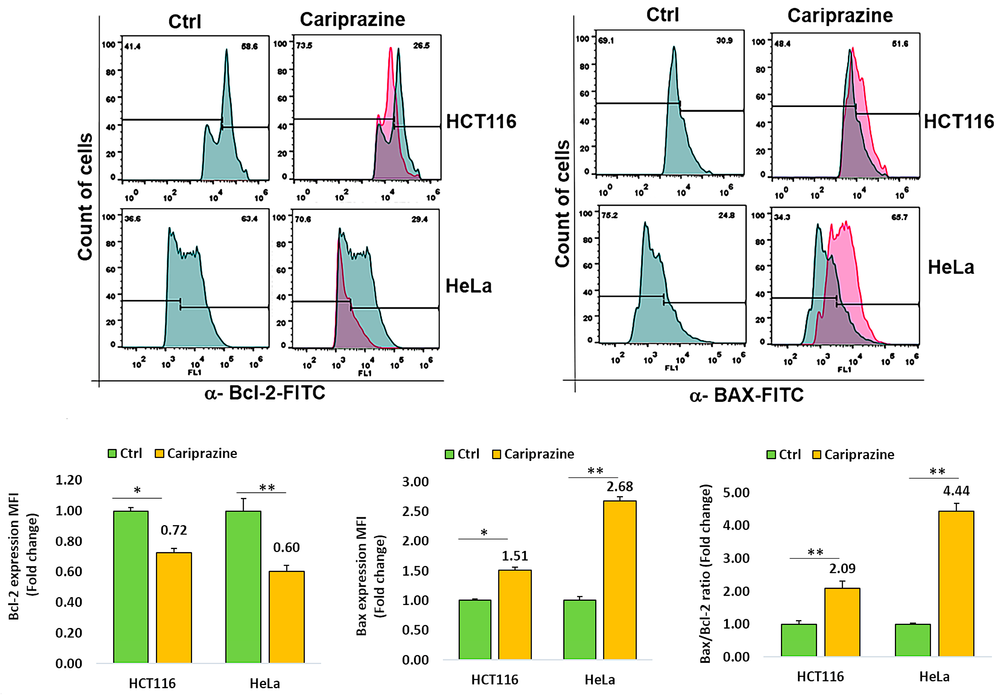 Biomedicines 14 00315 g004 Biomedicines 14 00315 g004