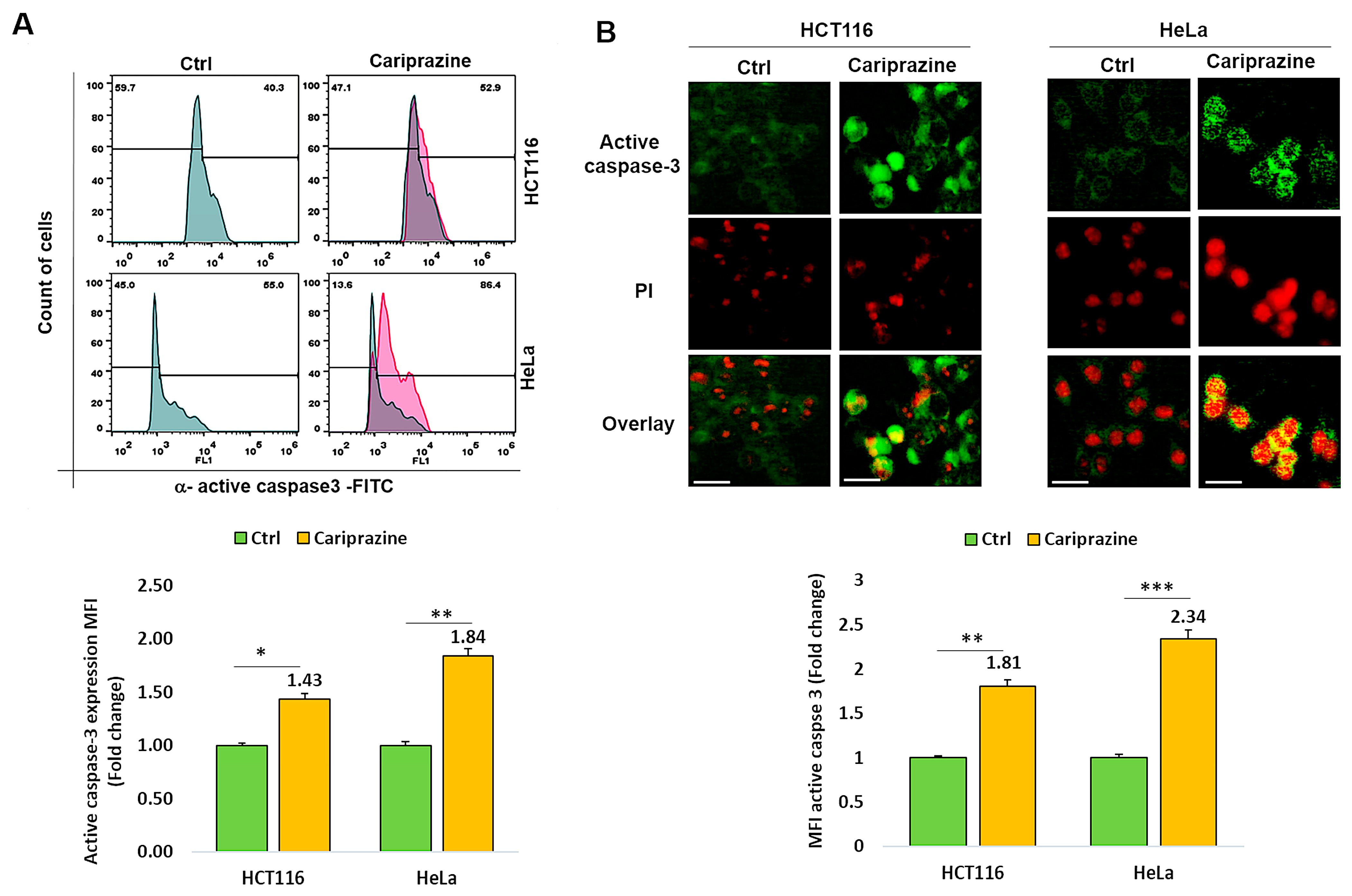Biomedicines 14 00315 g005 Biomedicines 14 00315 g005