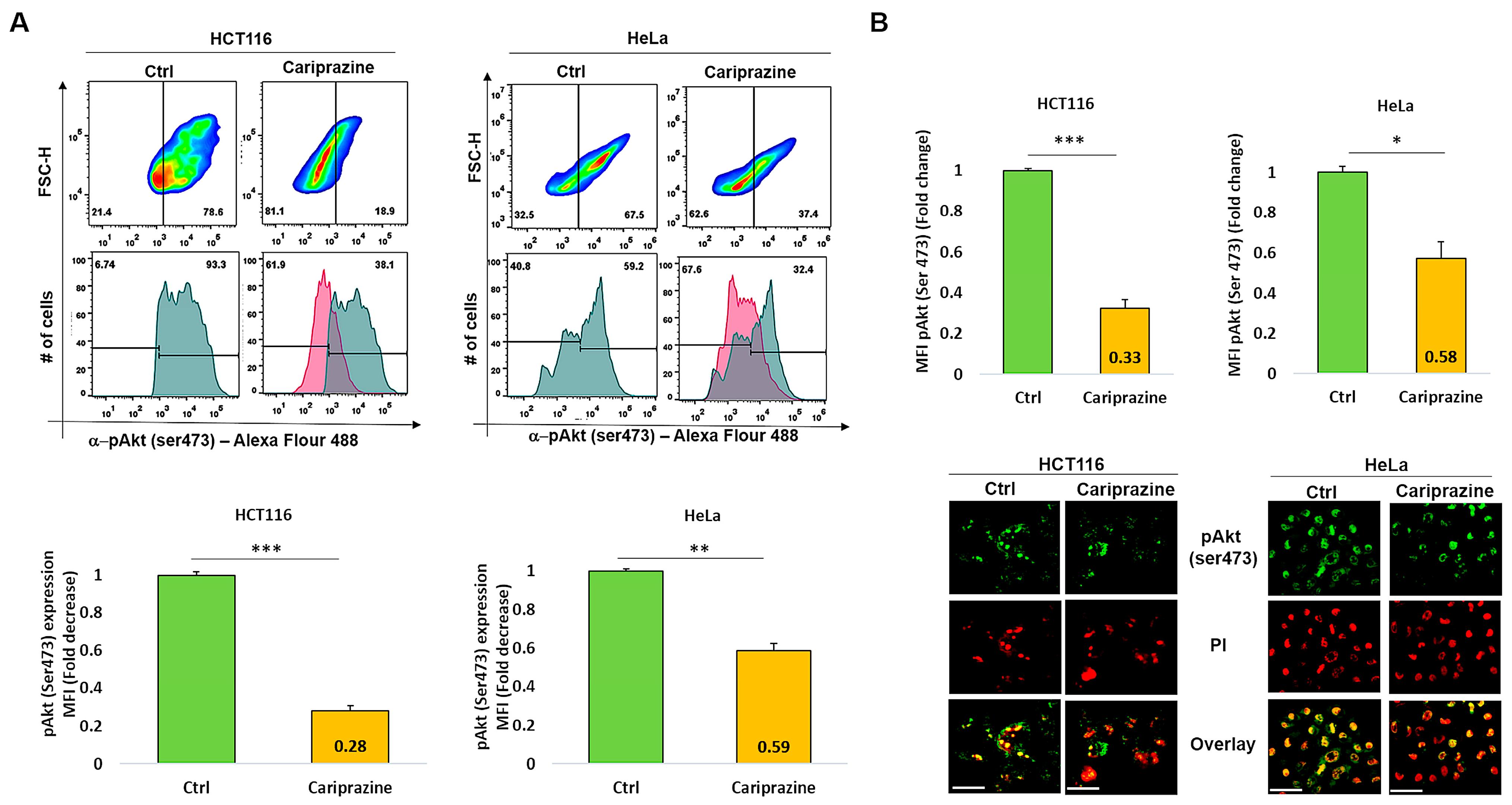 Biomedicines 14 00315 g009 Biomedicines 14 00315 g009