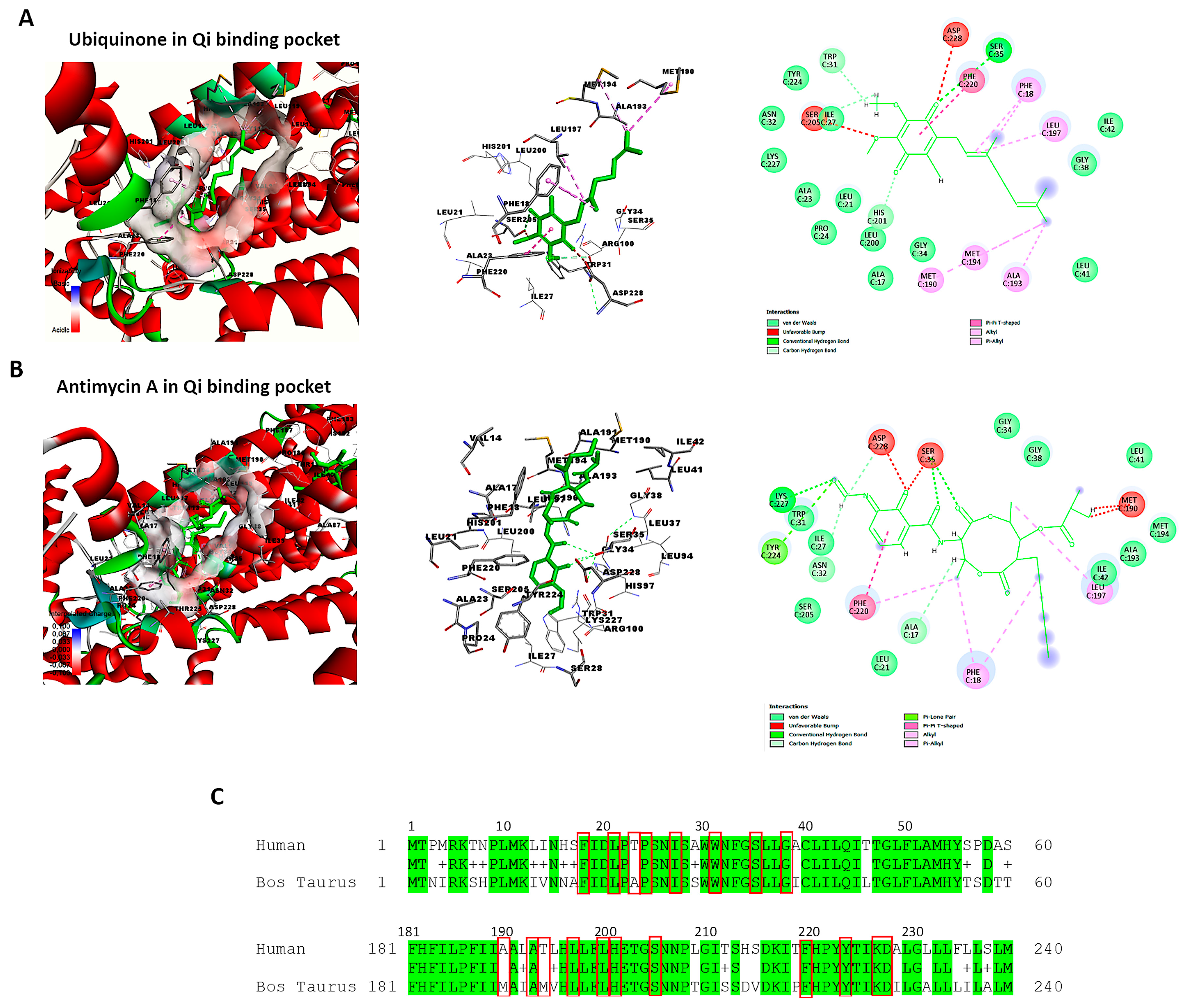 Biomedicines 14 00315 g010 Biomedicines 14 00315 g010