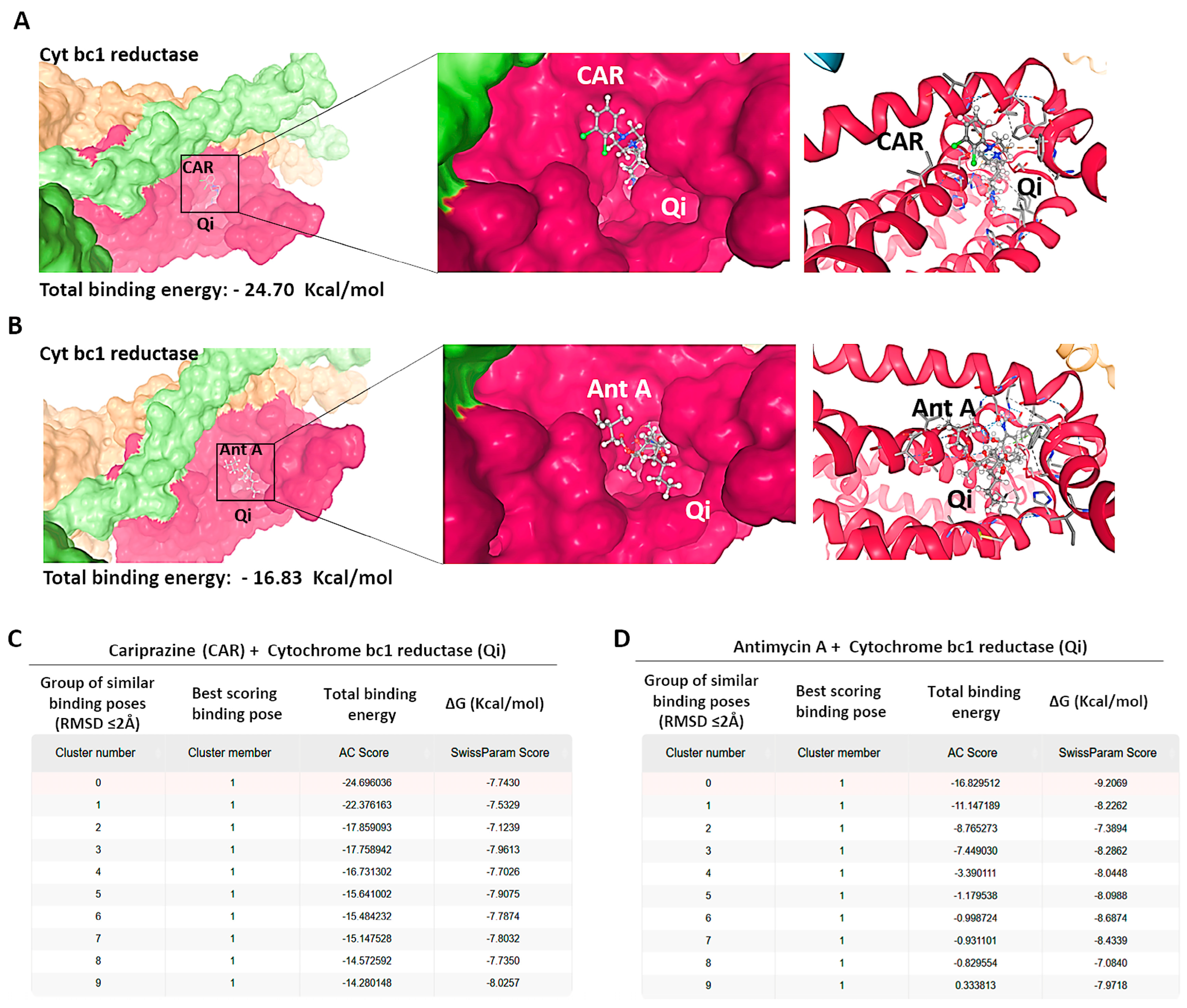 Biomedicines 14 00315 g011 Biomedicines 14 00315 g011