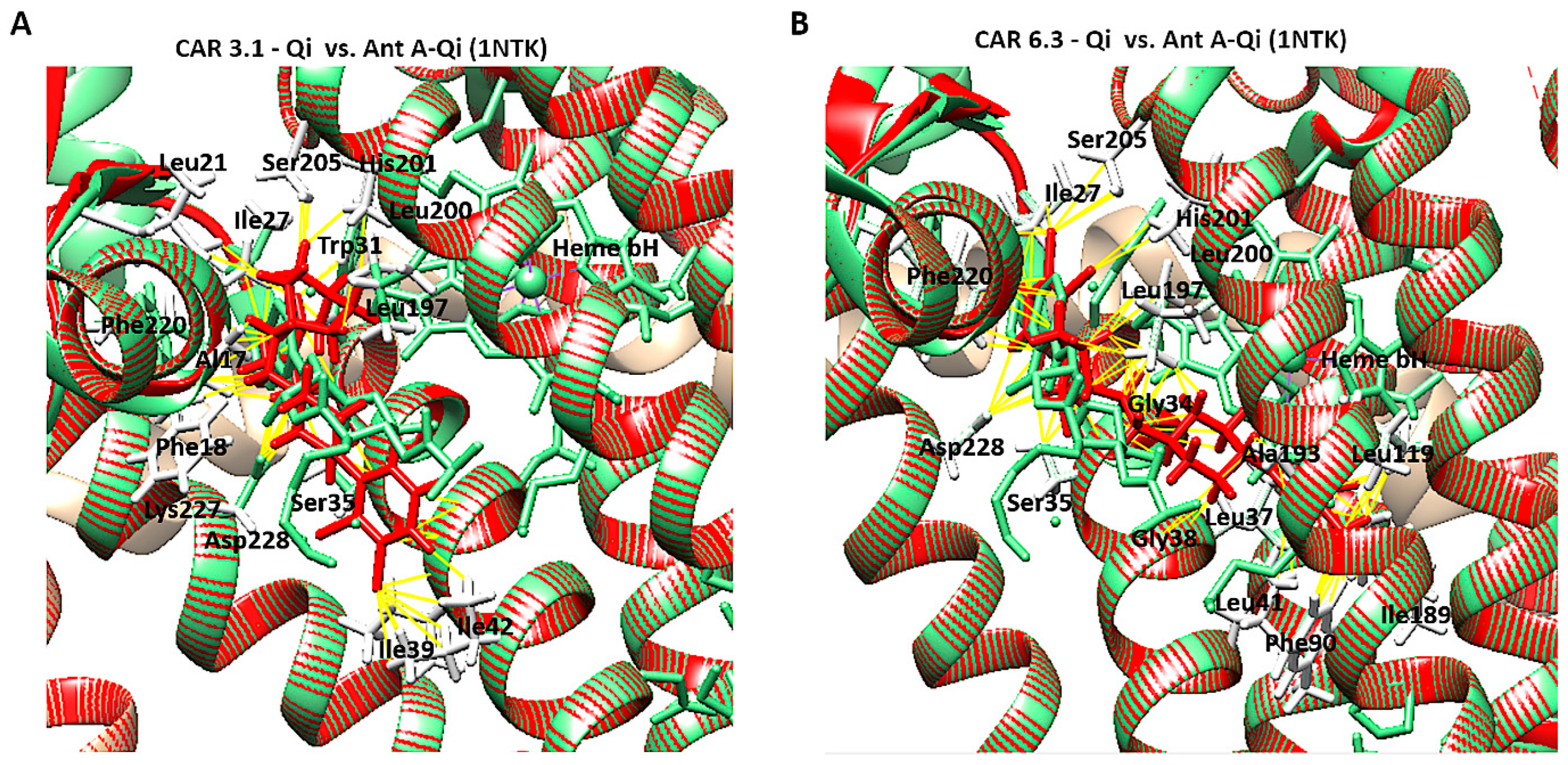 Biomedicines 14 00315 g013 Biomedicines 14 00315 g013
