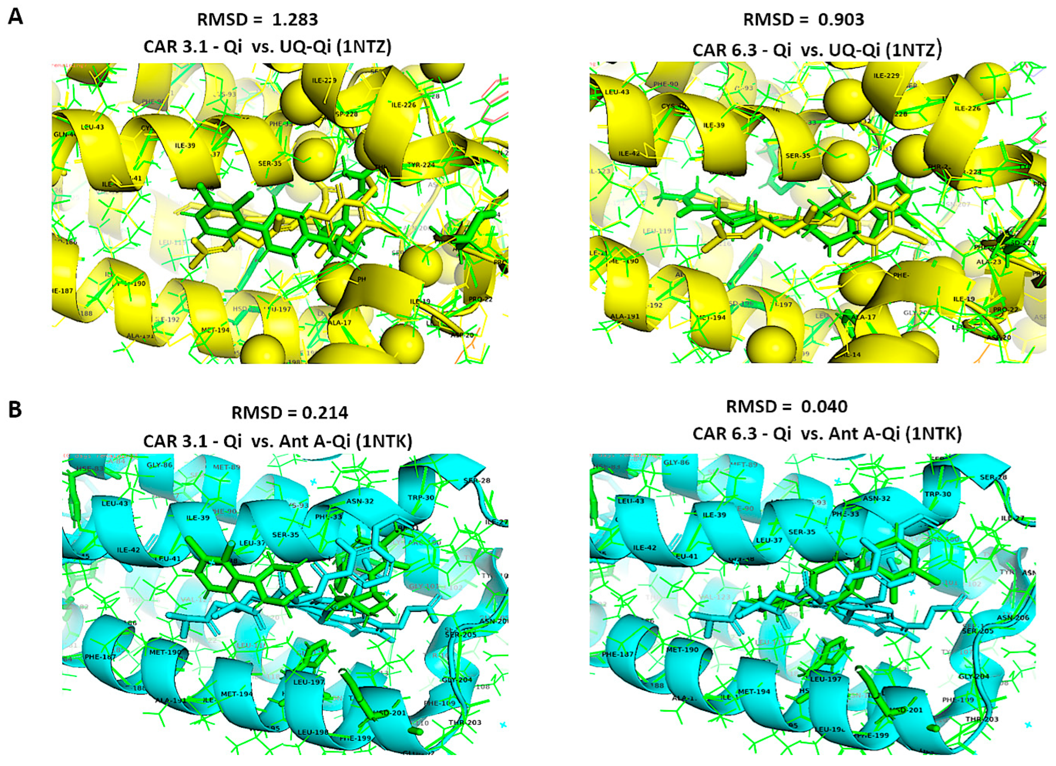 Biomedicines 14 00315 g014 Biomedicines 14 00315 g014