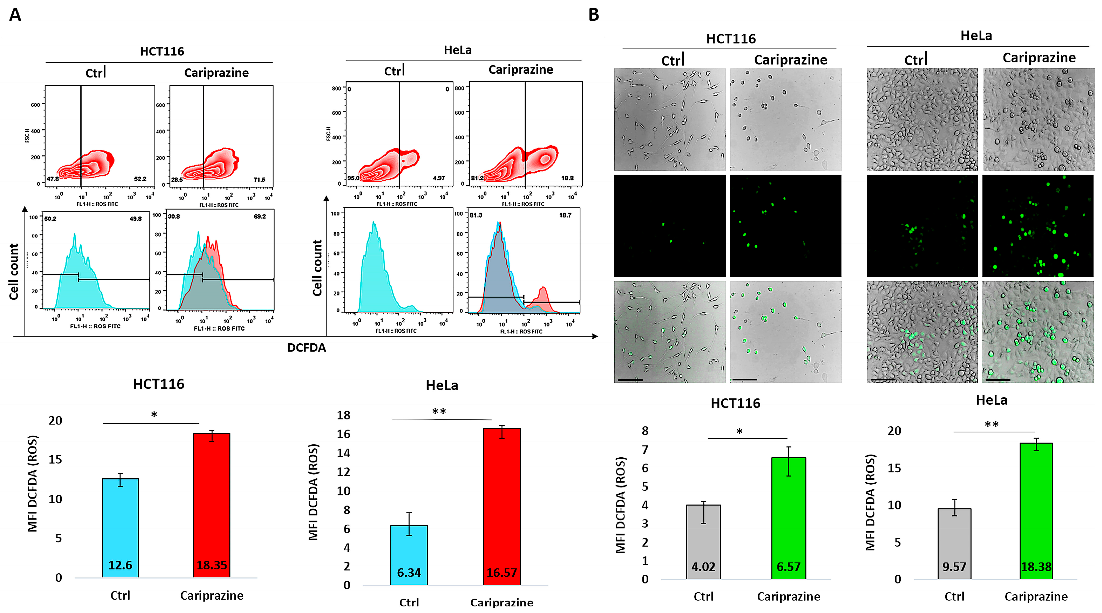 Biomedicines 14 00315 g015 Biomedicines 14 00315 g015