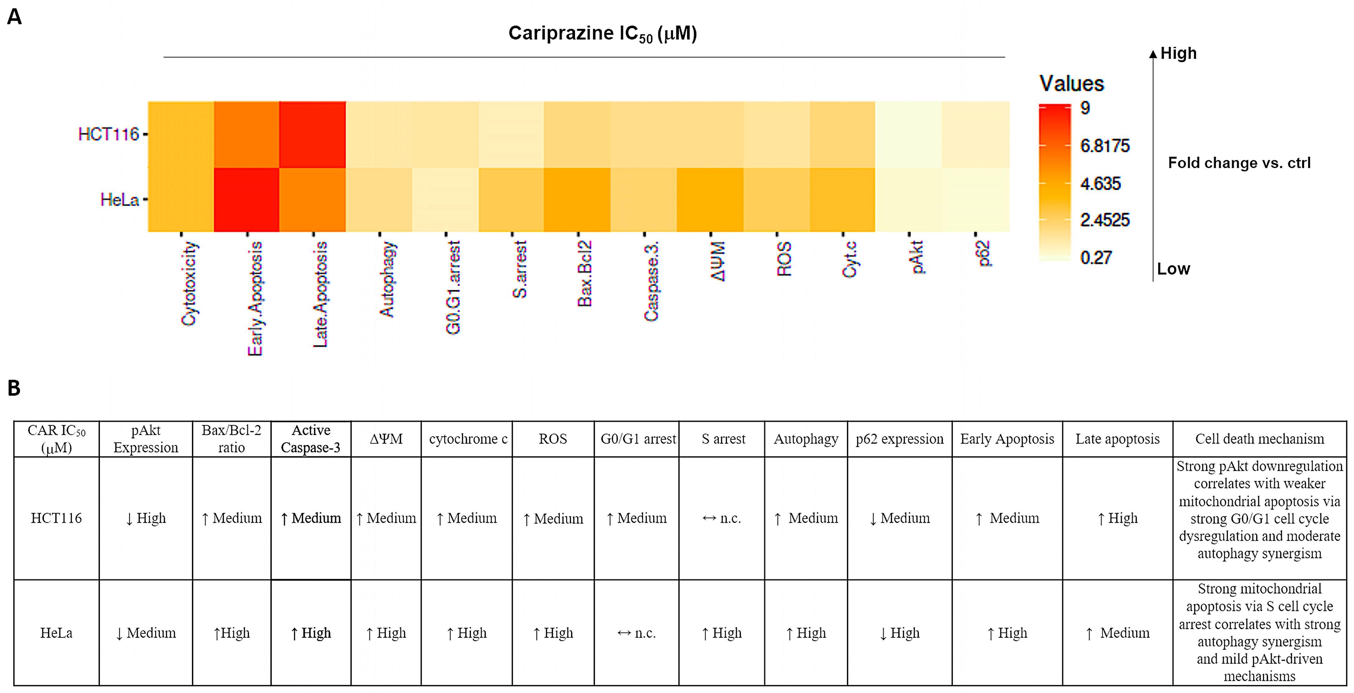 Biomedicines 14 00315 g016 Biomedicines 14 00315 g016