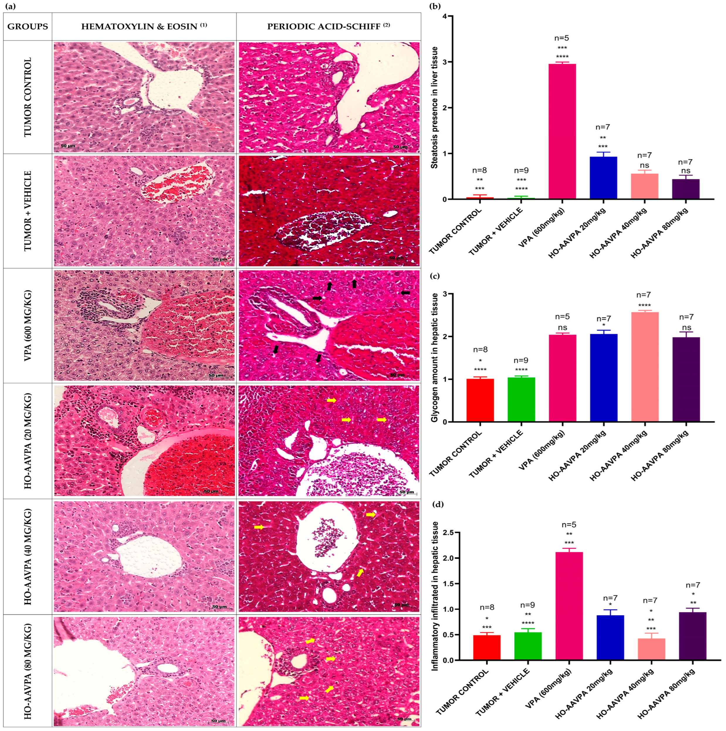 Biomedicines 14 00322 g005 Biomedicines 14 00322 g005