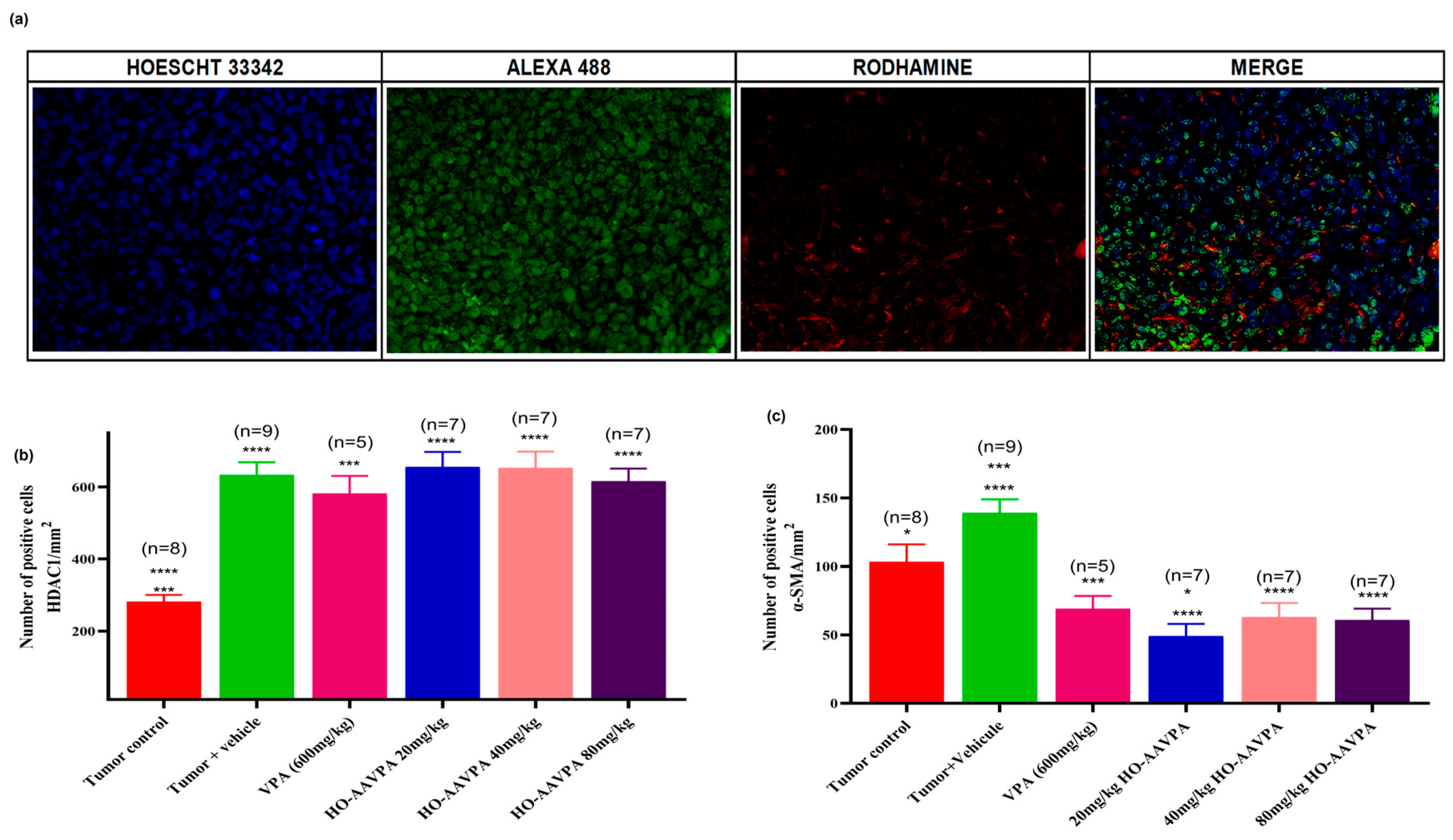 Biomedicines 14 00322 g008 Biomedicines 14 00322 g008
