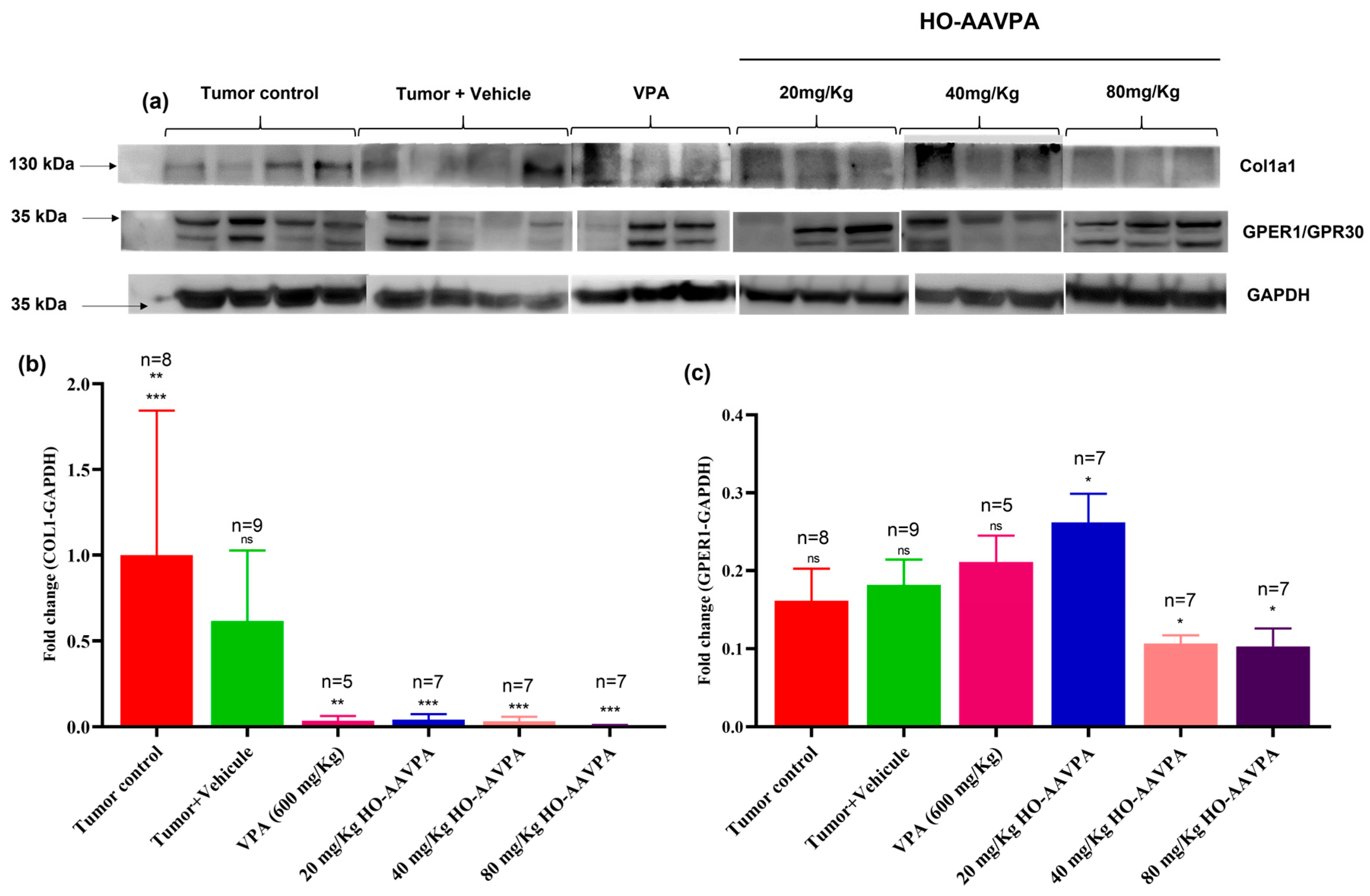 Biomedicines 14 00322 g009 Biomedicines 14 00322 g009