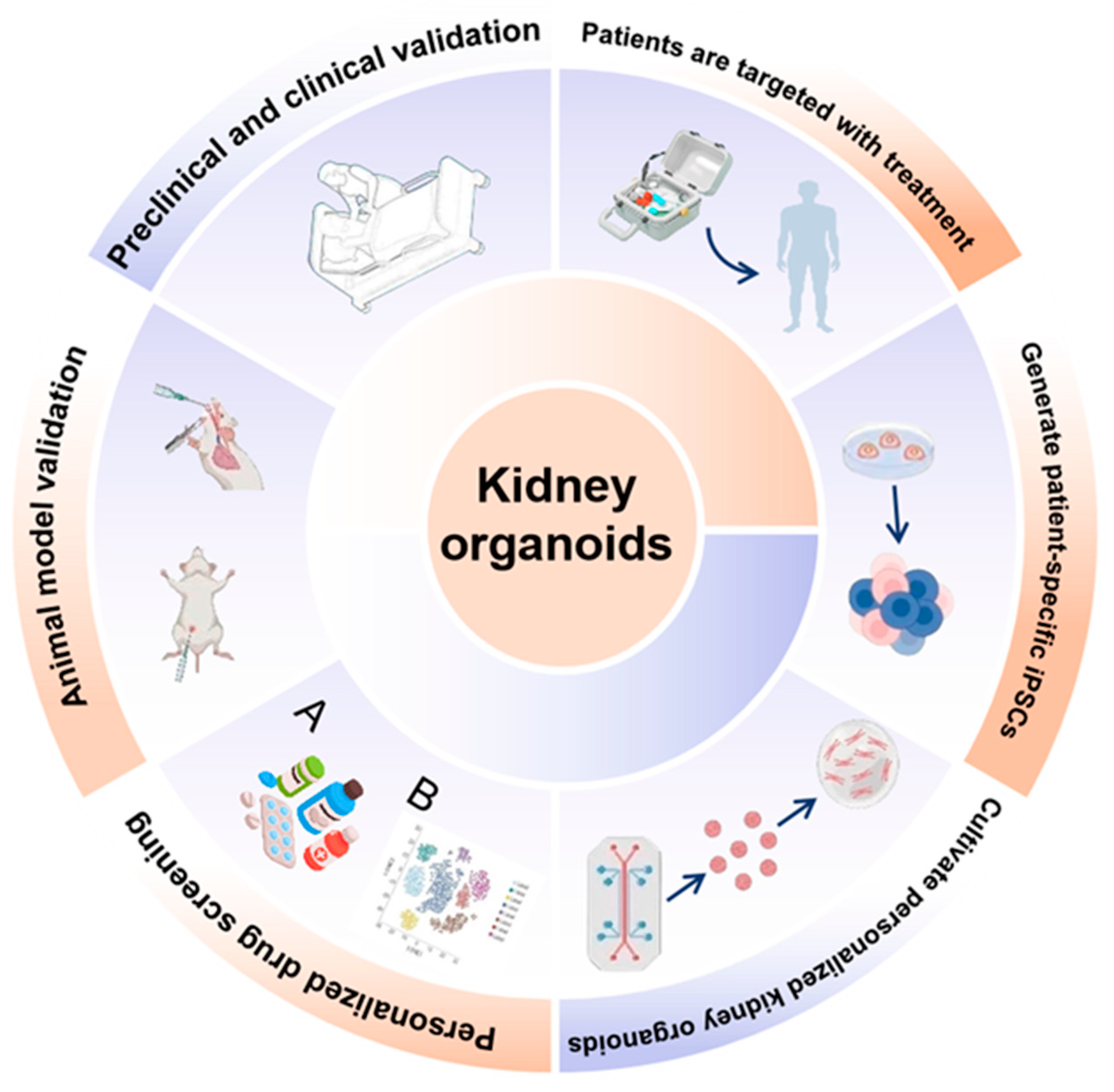 Biomedicines 14 00327 g001 Biomedicines 14 00327 g001