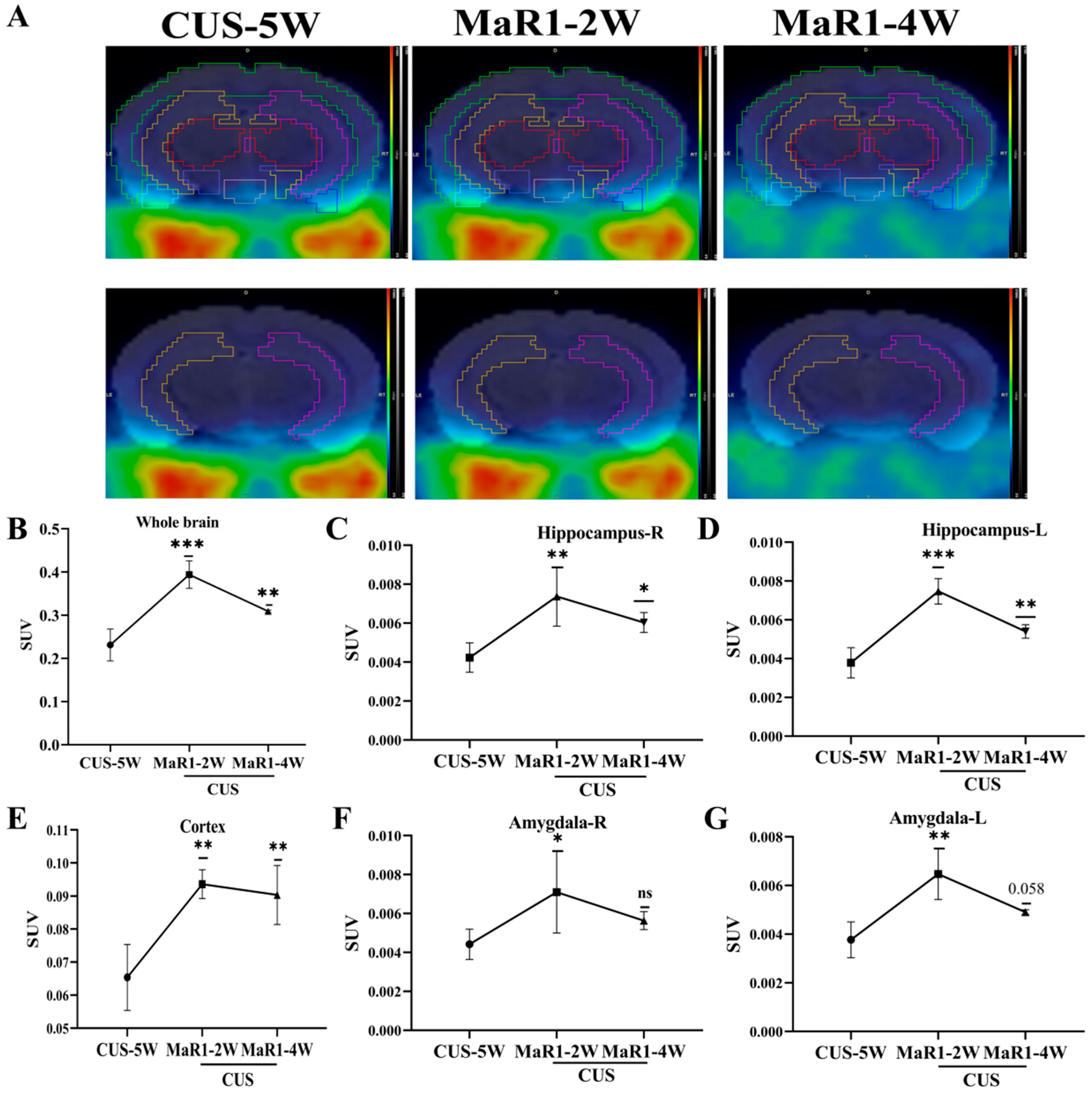 Biomedicines 14 00335 g002 Biomedicines 14 00335 g002
