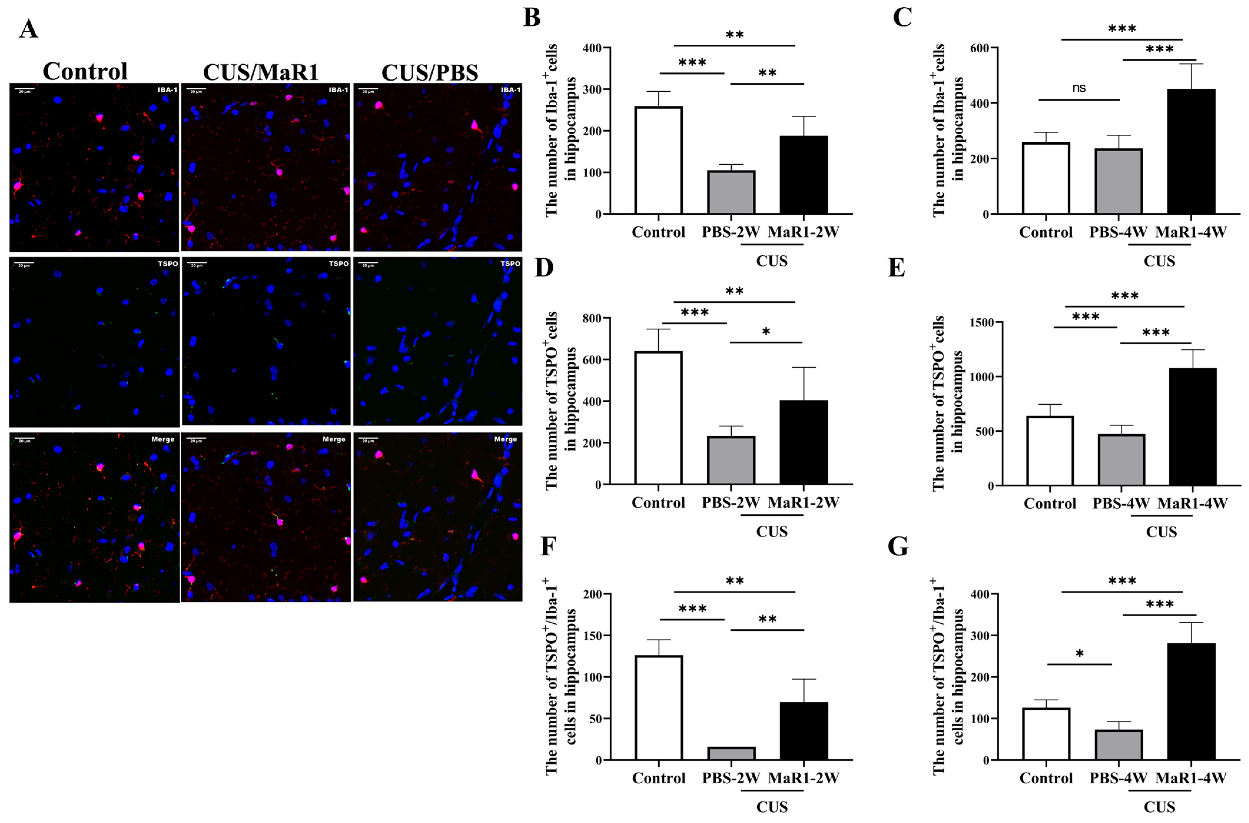 Biomedicines 14 00335 g003 Biomedicines 14 00335 g003