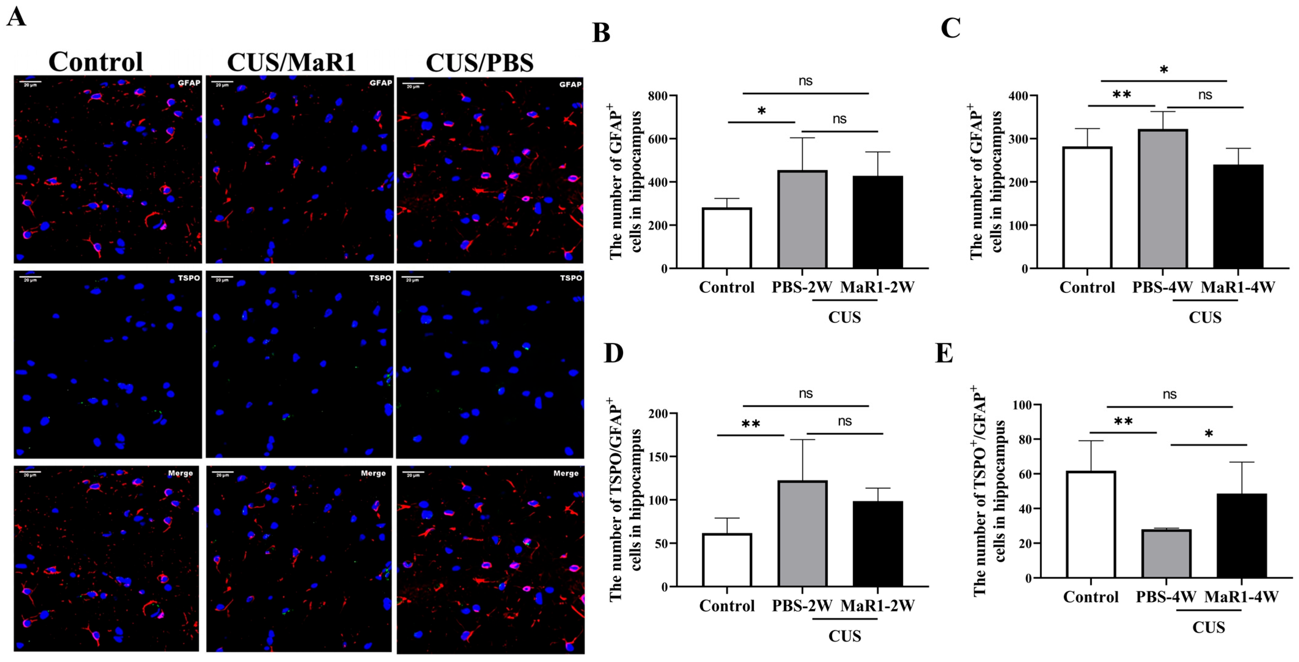 Biomedicines 14 00335 g004 Biomedicines 14 00335 g004