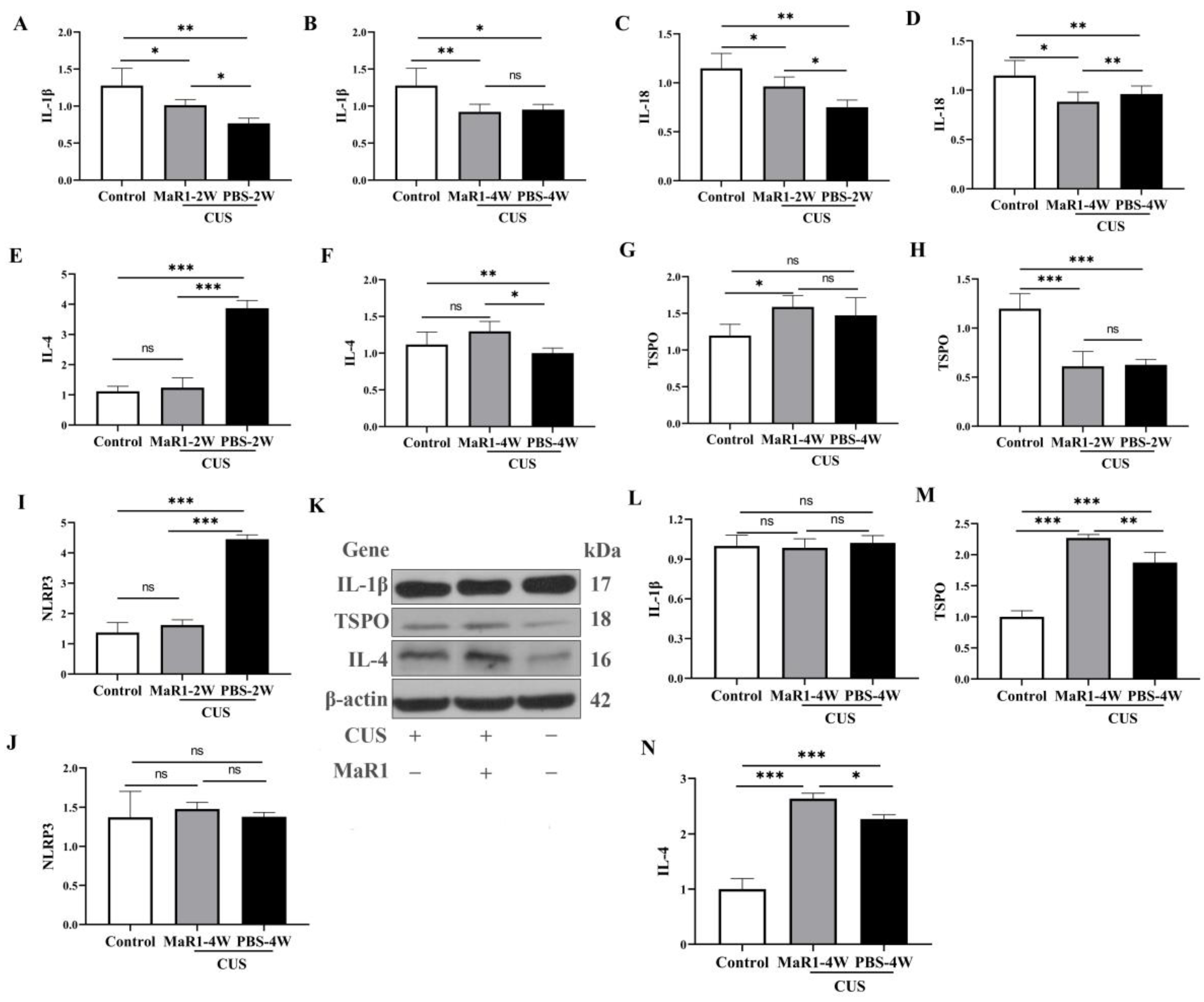 Biomedicines 14 00335 g005 Biomedicines 14 00335 g005