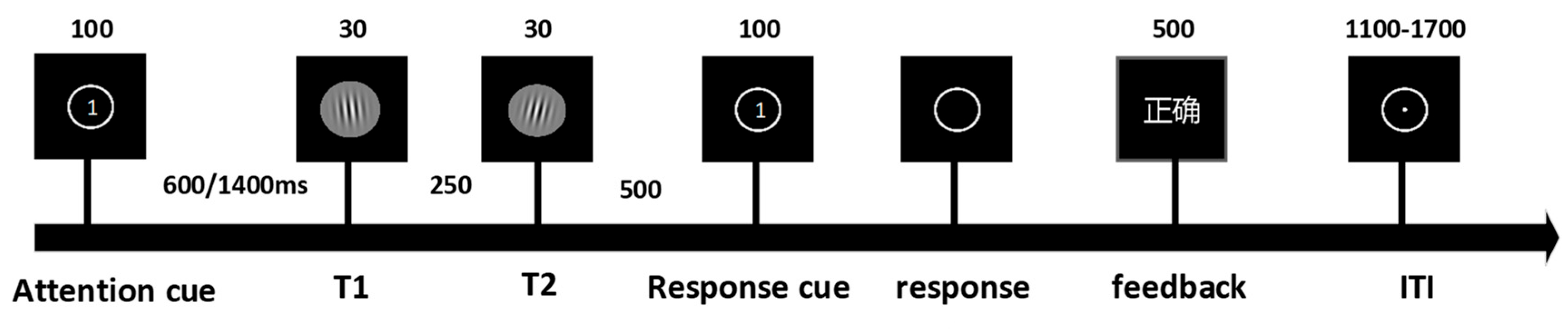 Biomedicines 14 00336 g001 Biomedicines 14 00336 g001