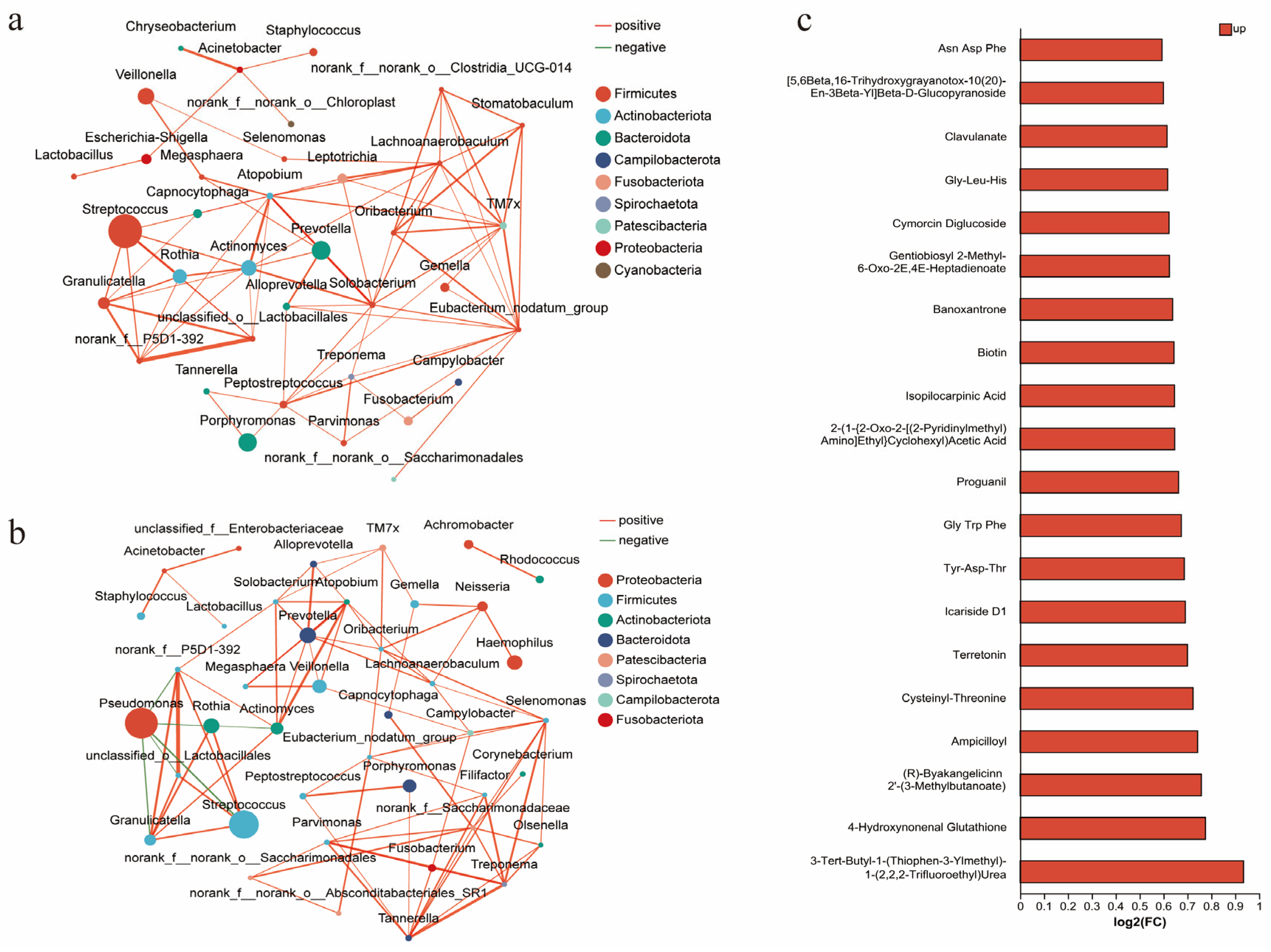 Biomedicines 14 00337 g004 Biomedicines 14 00337 g004