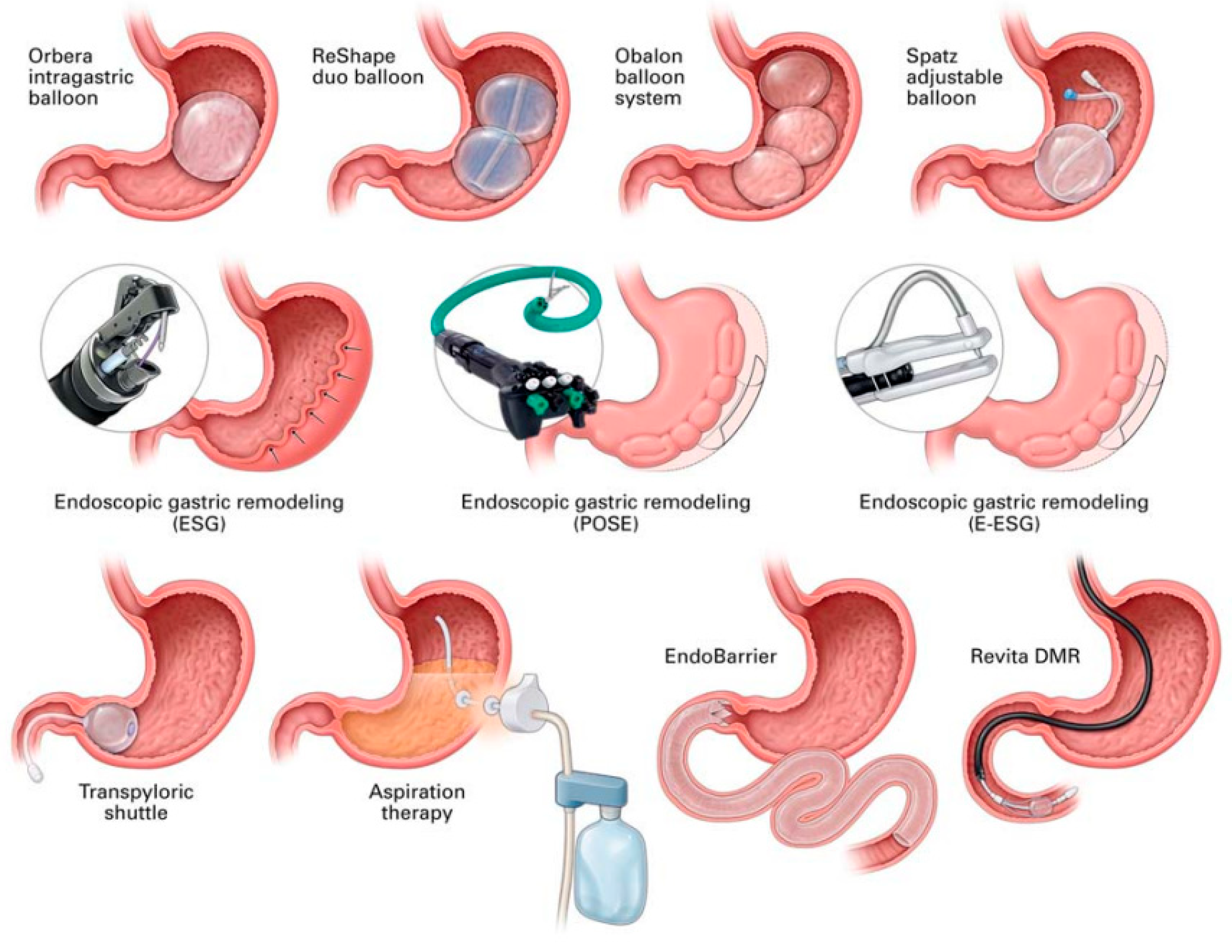 Biomedicines 14 00345 g001