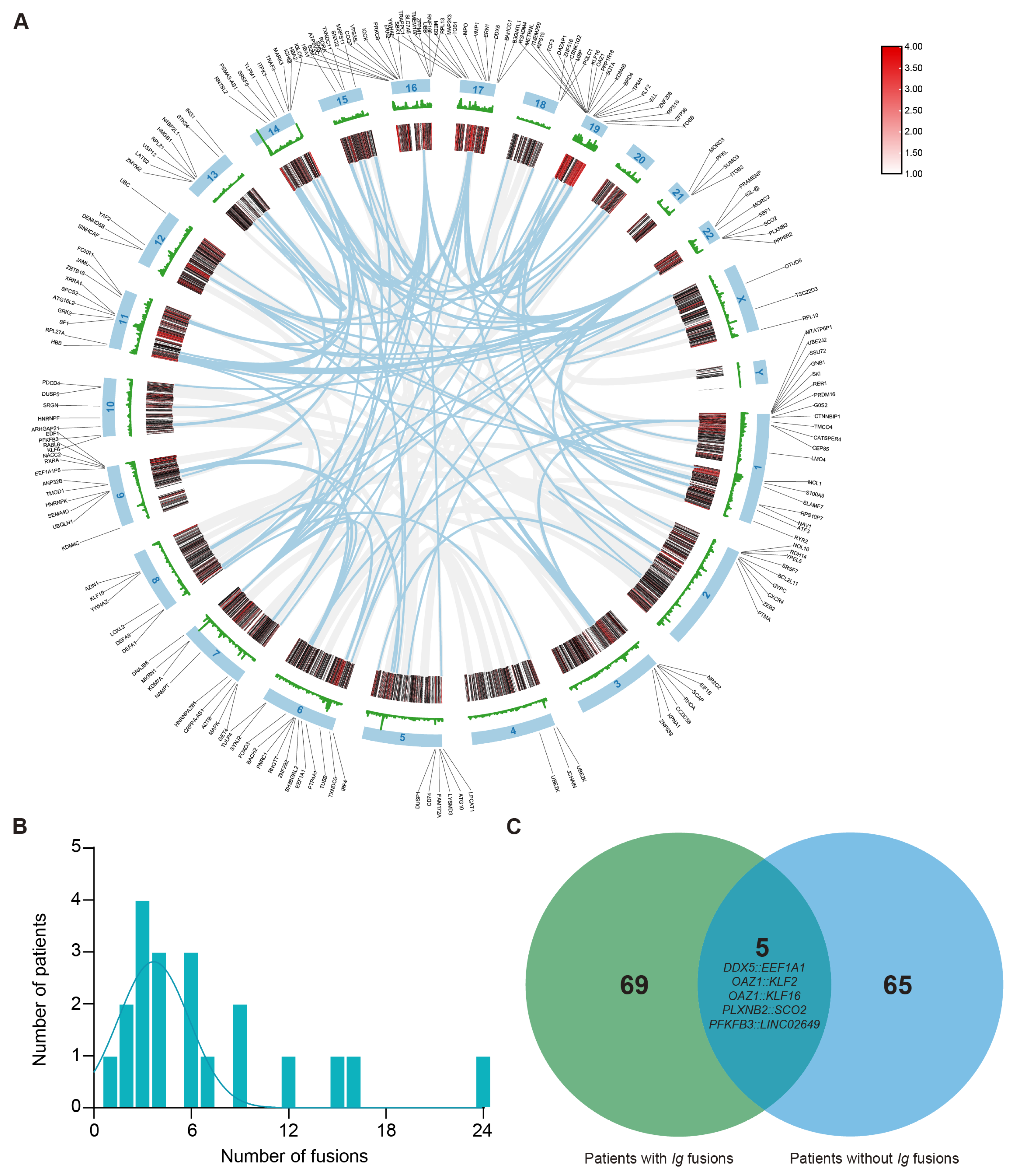 Biomedicines 14 00354 g001