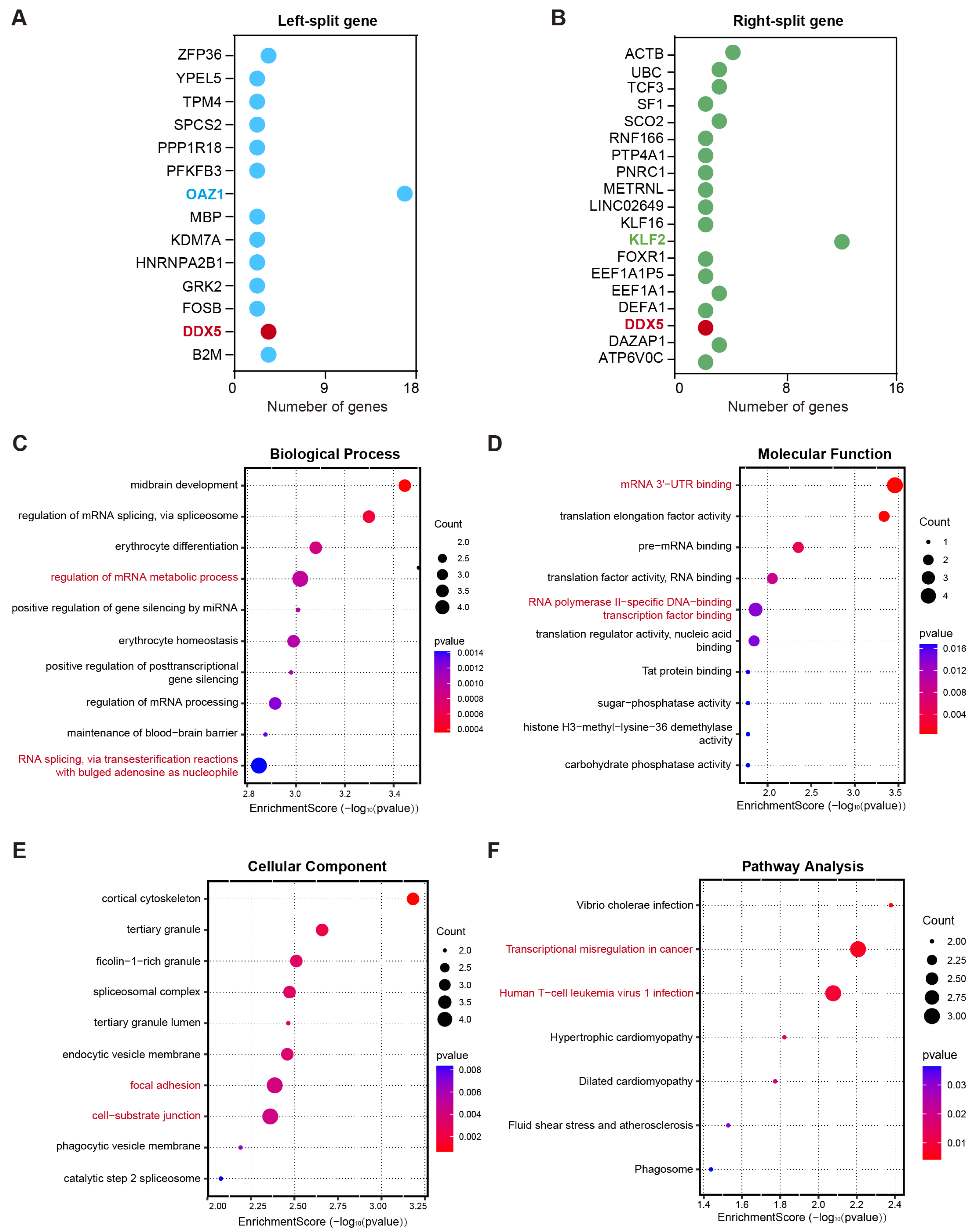 Biomedicines 14 00354 g002