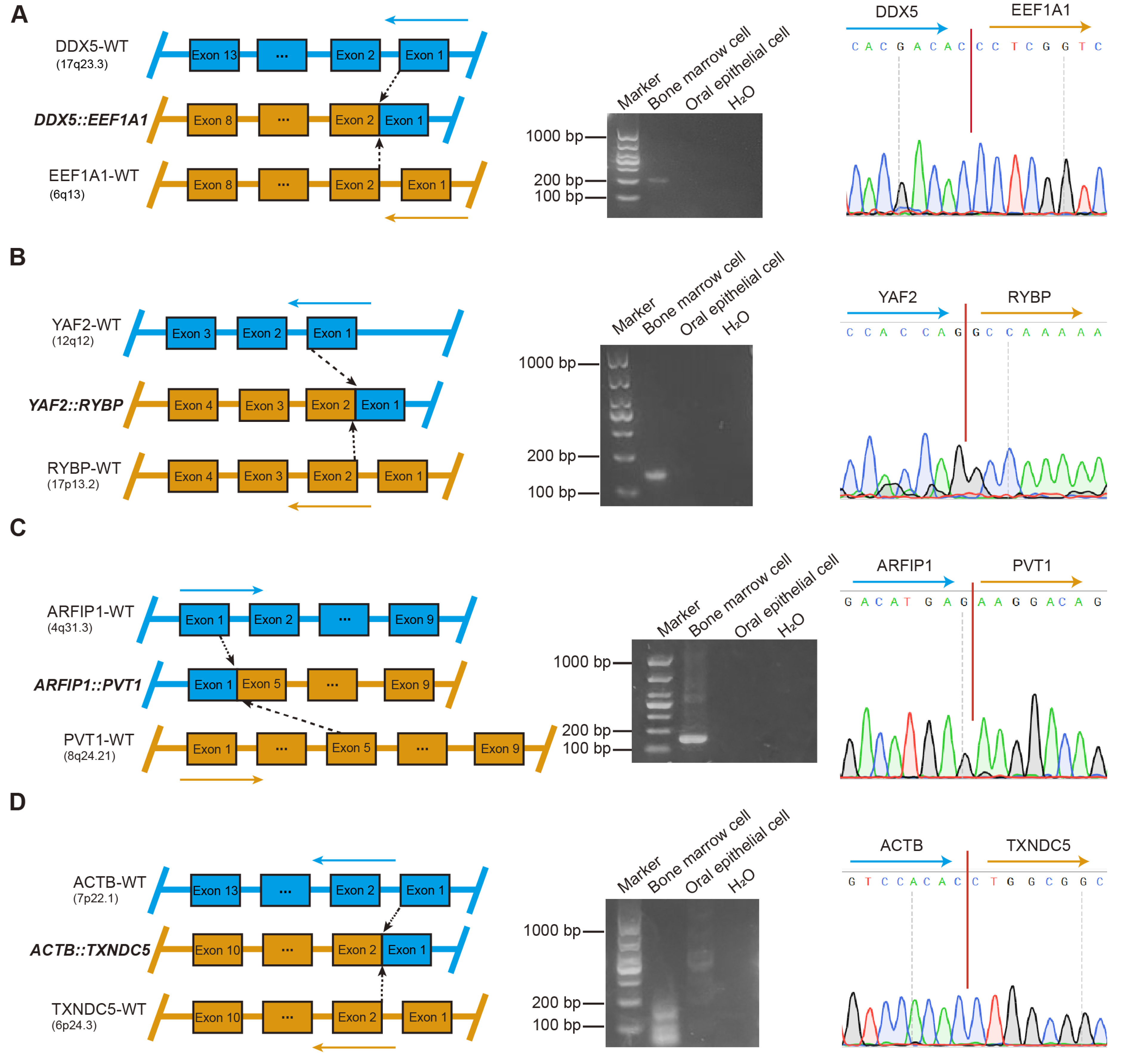 Biomedicines 14 00354 g003