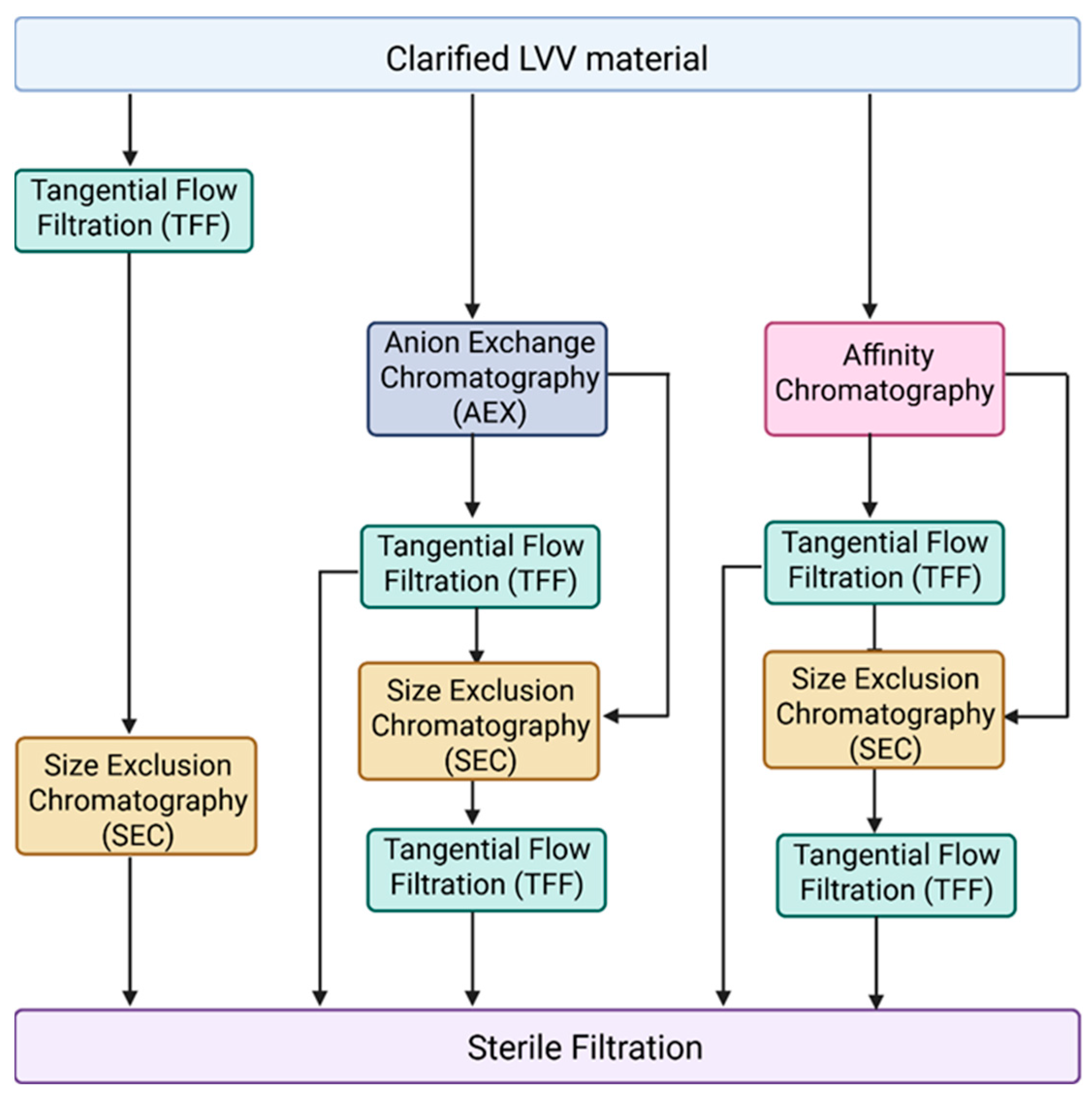 Biomedicines 14 00369 g002