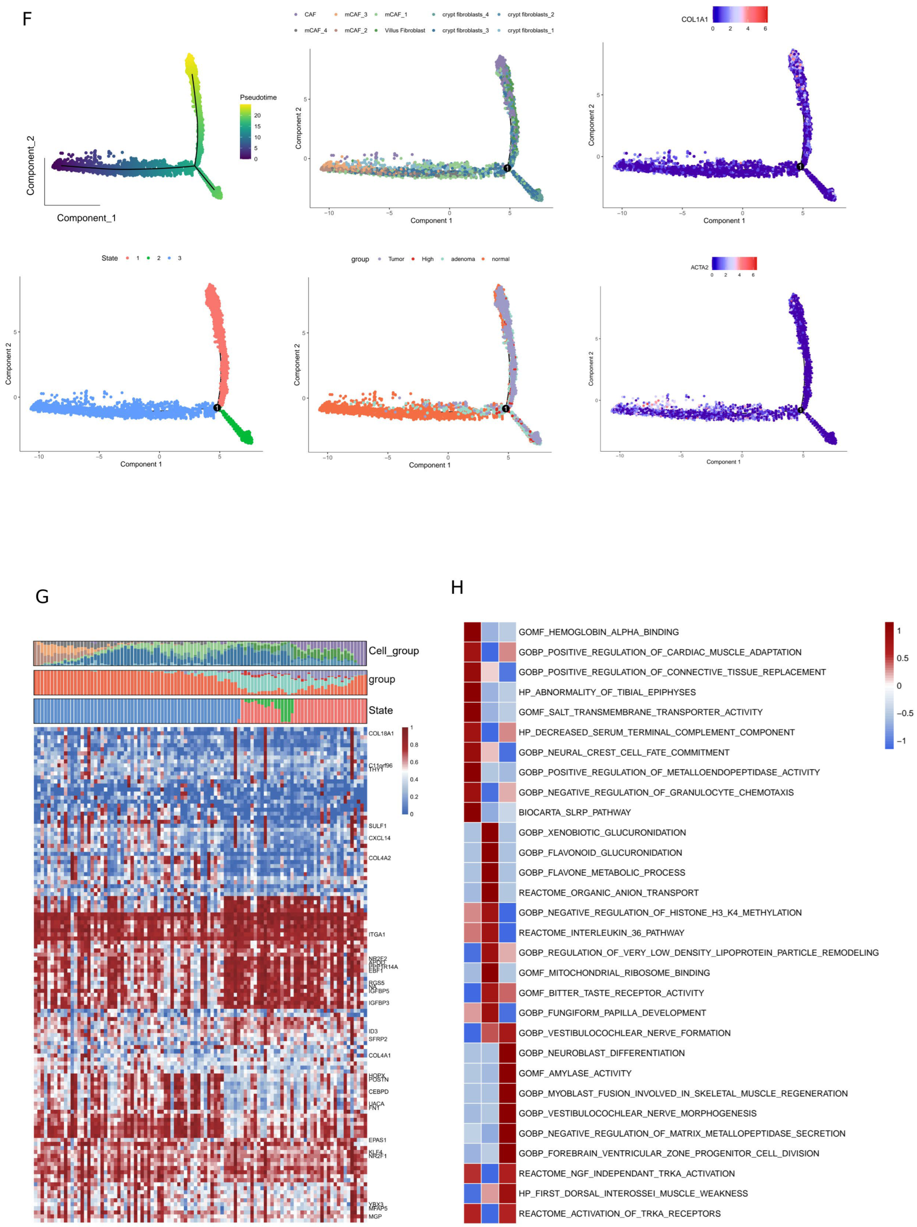Biomedicines 14 00371 g005b Biomedicines 14 00371 g005b