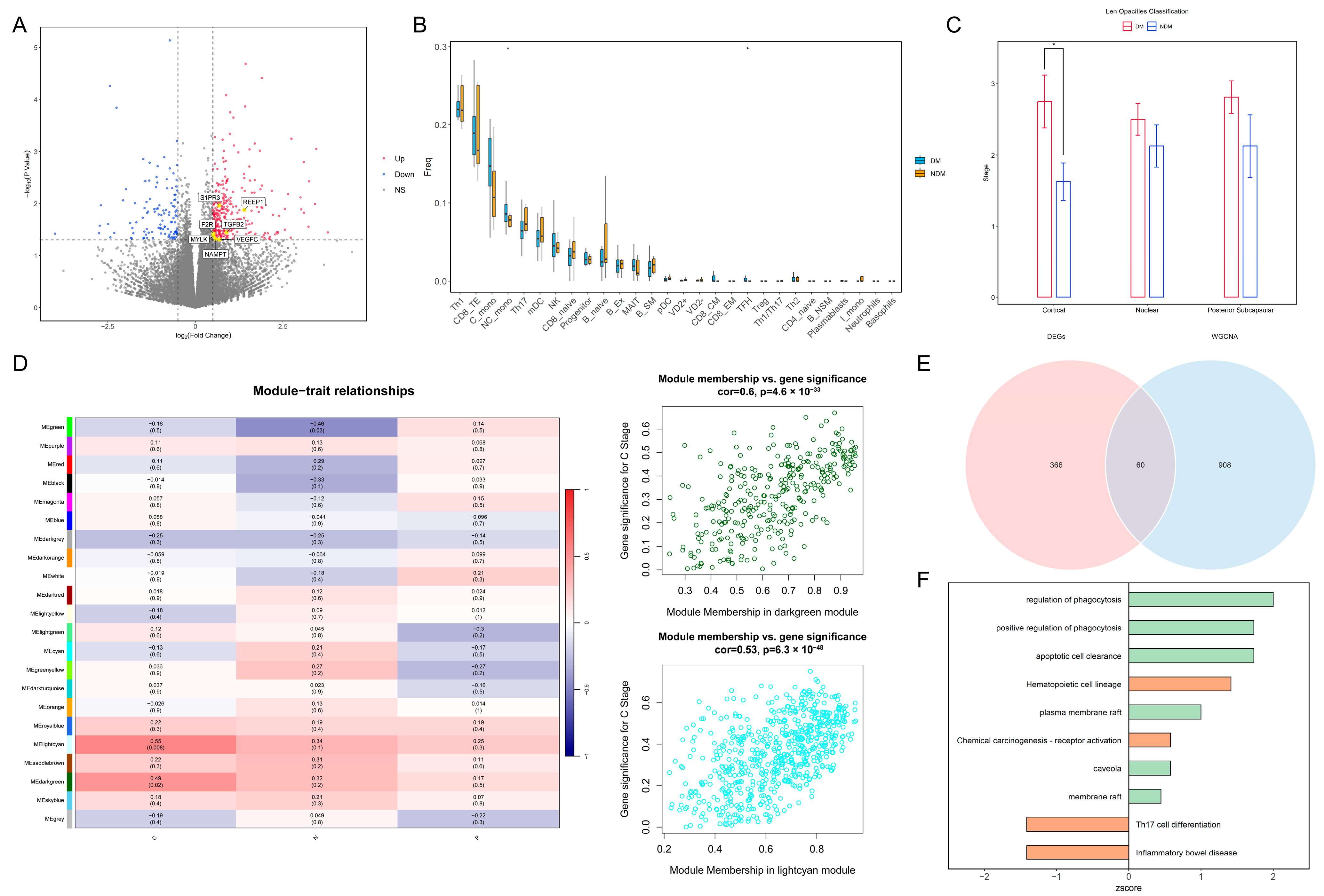 Biomedicines 14 00372 g001