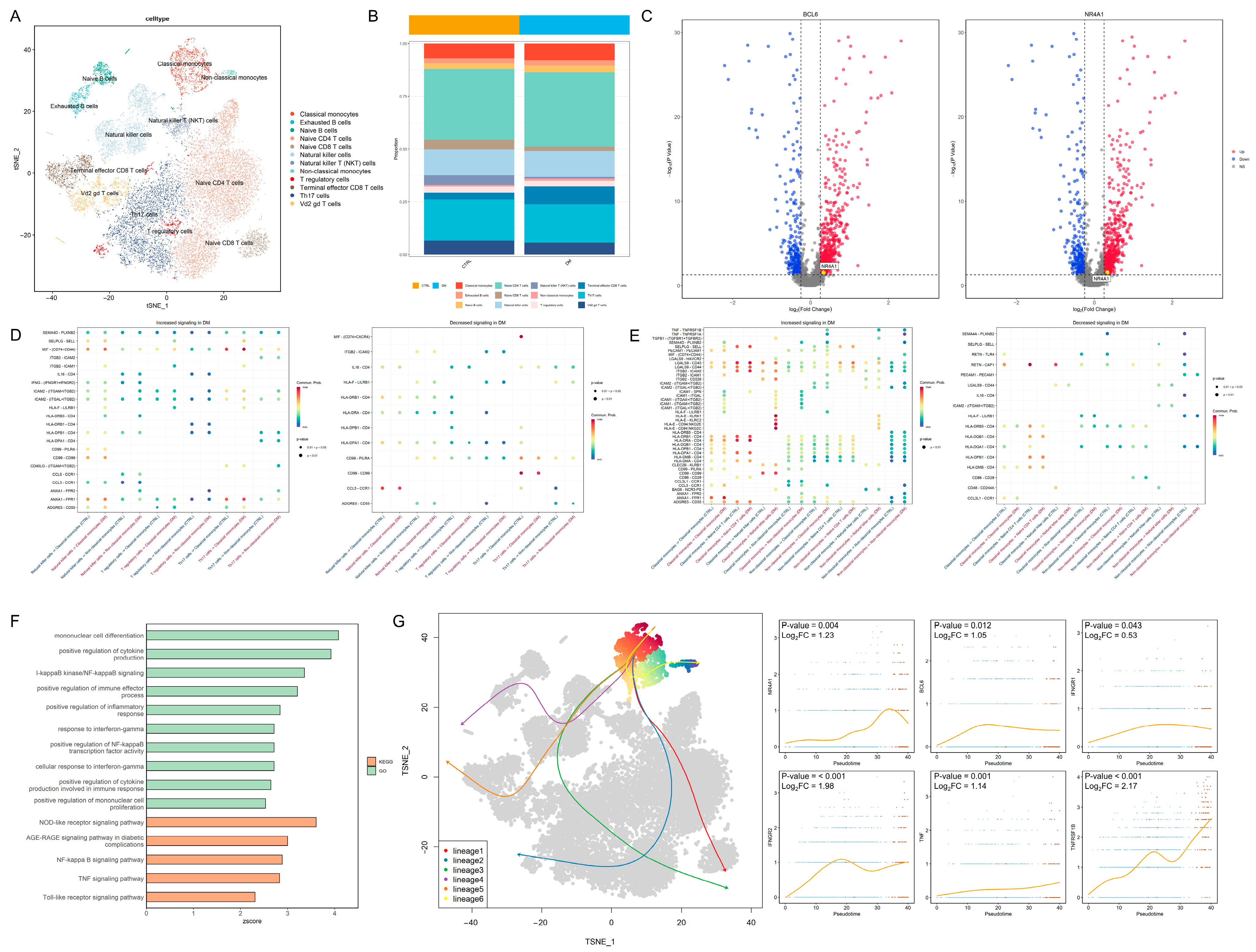 Biomedicines 14 00372 g002