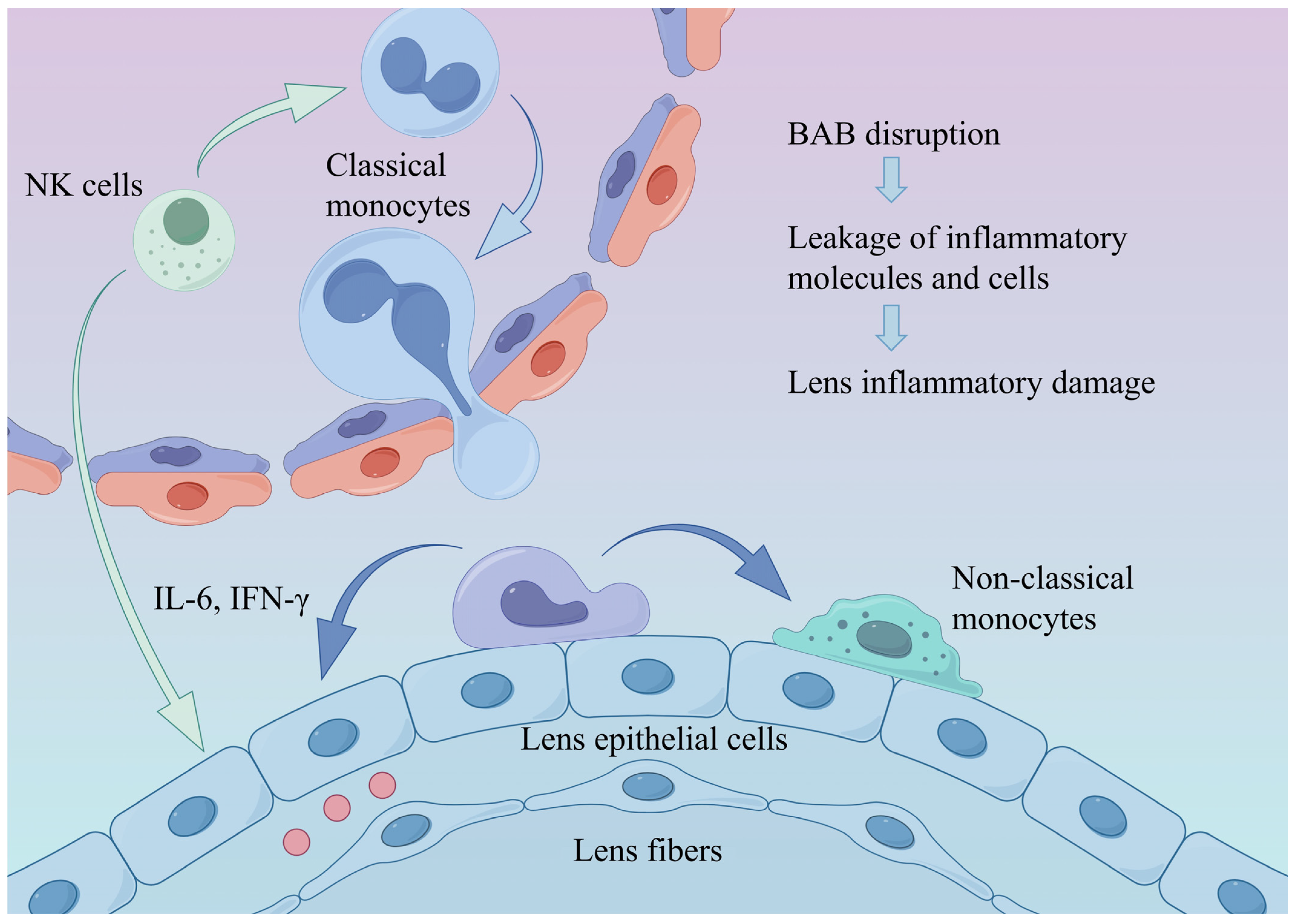 Biomedicines 14 00372 g004