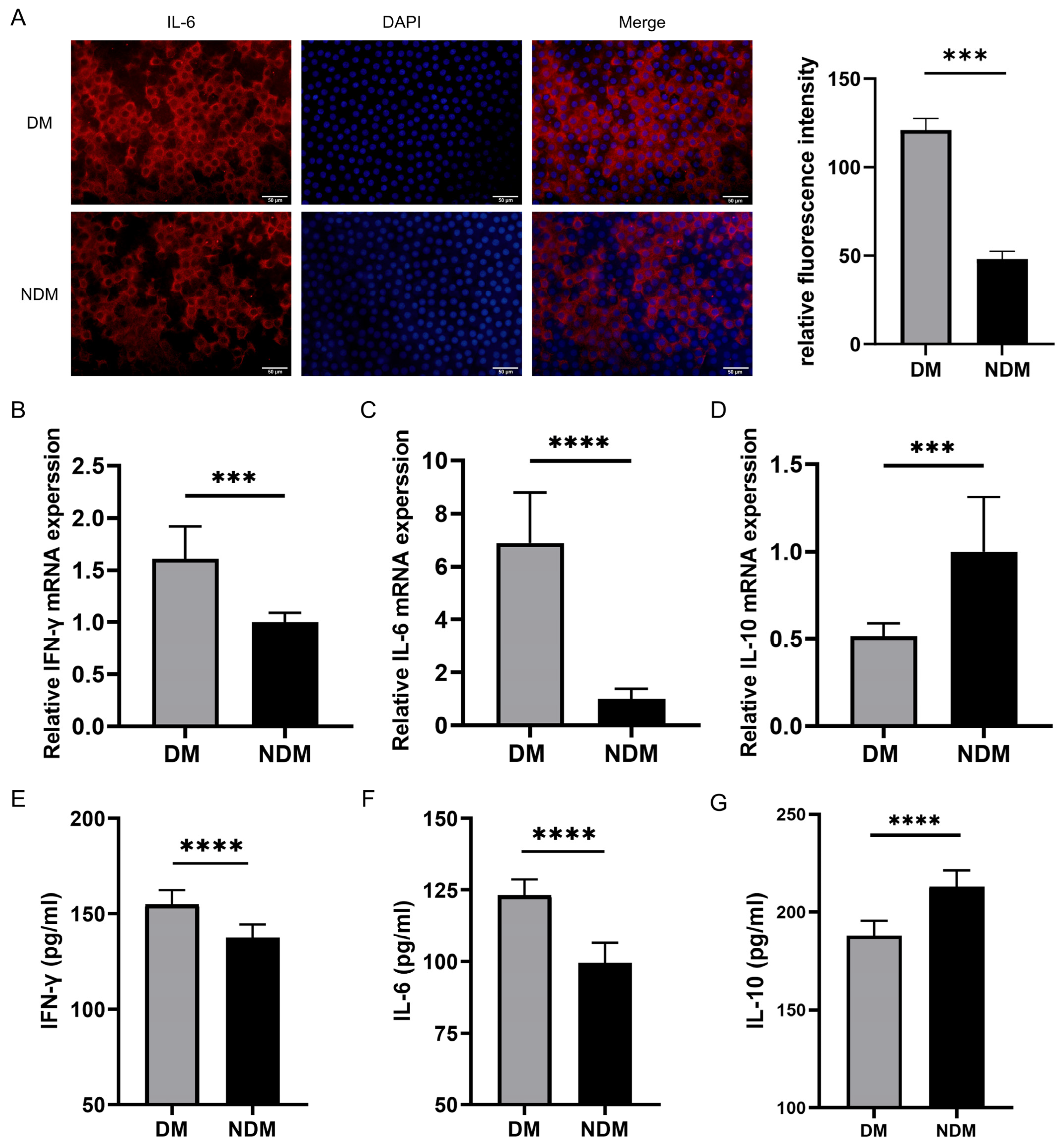 Biomedicines 14 00372 g005