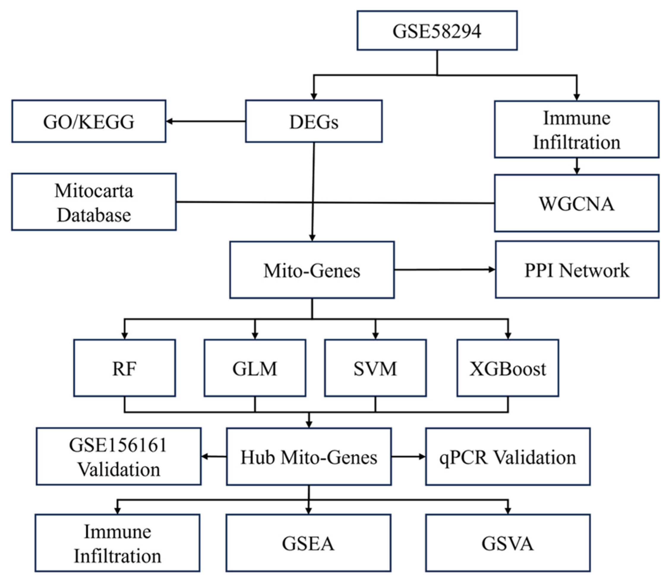 Biomedicines 14 00375 g001