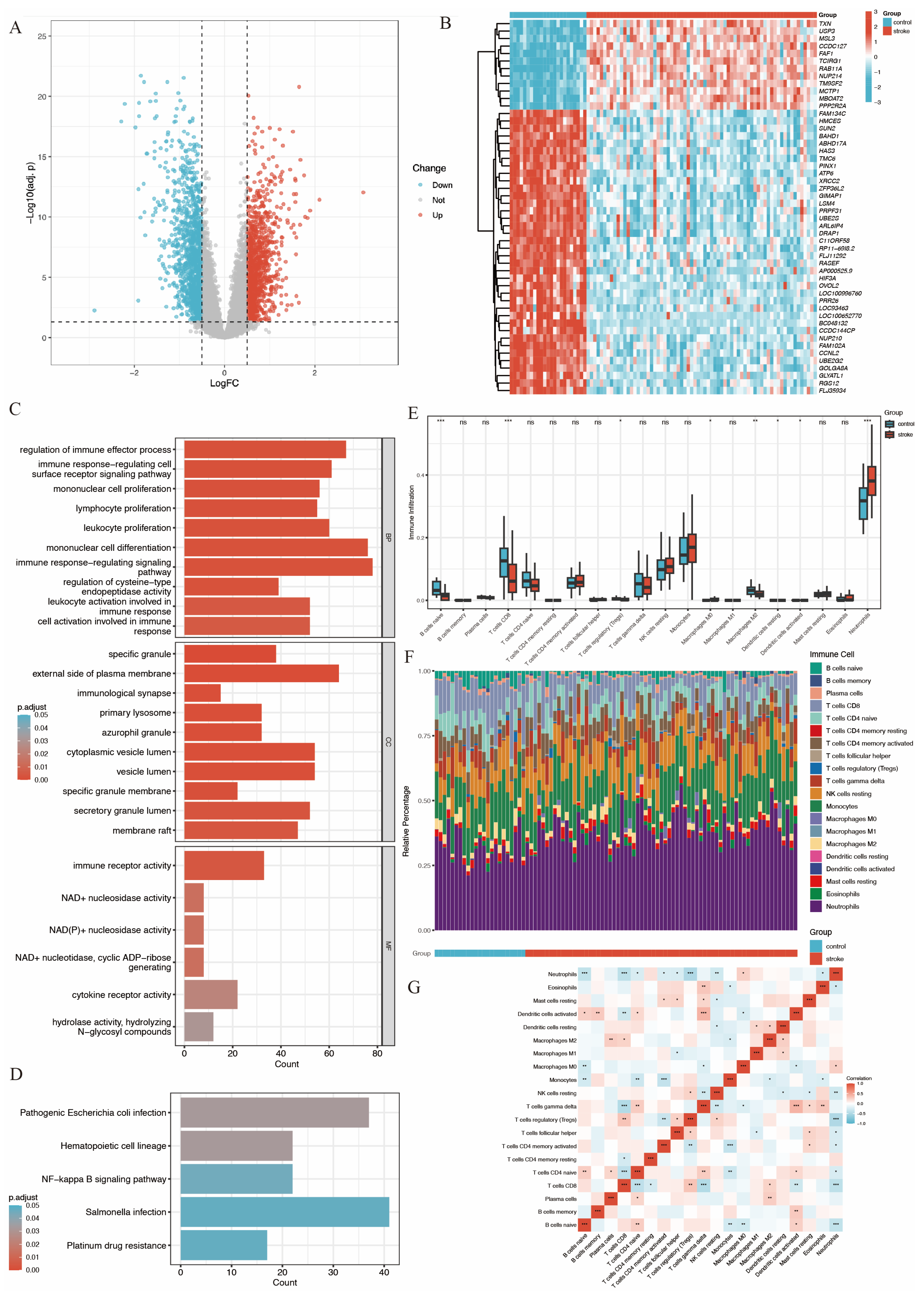 Biomedicines 14 00375 g002