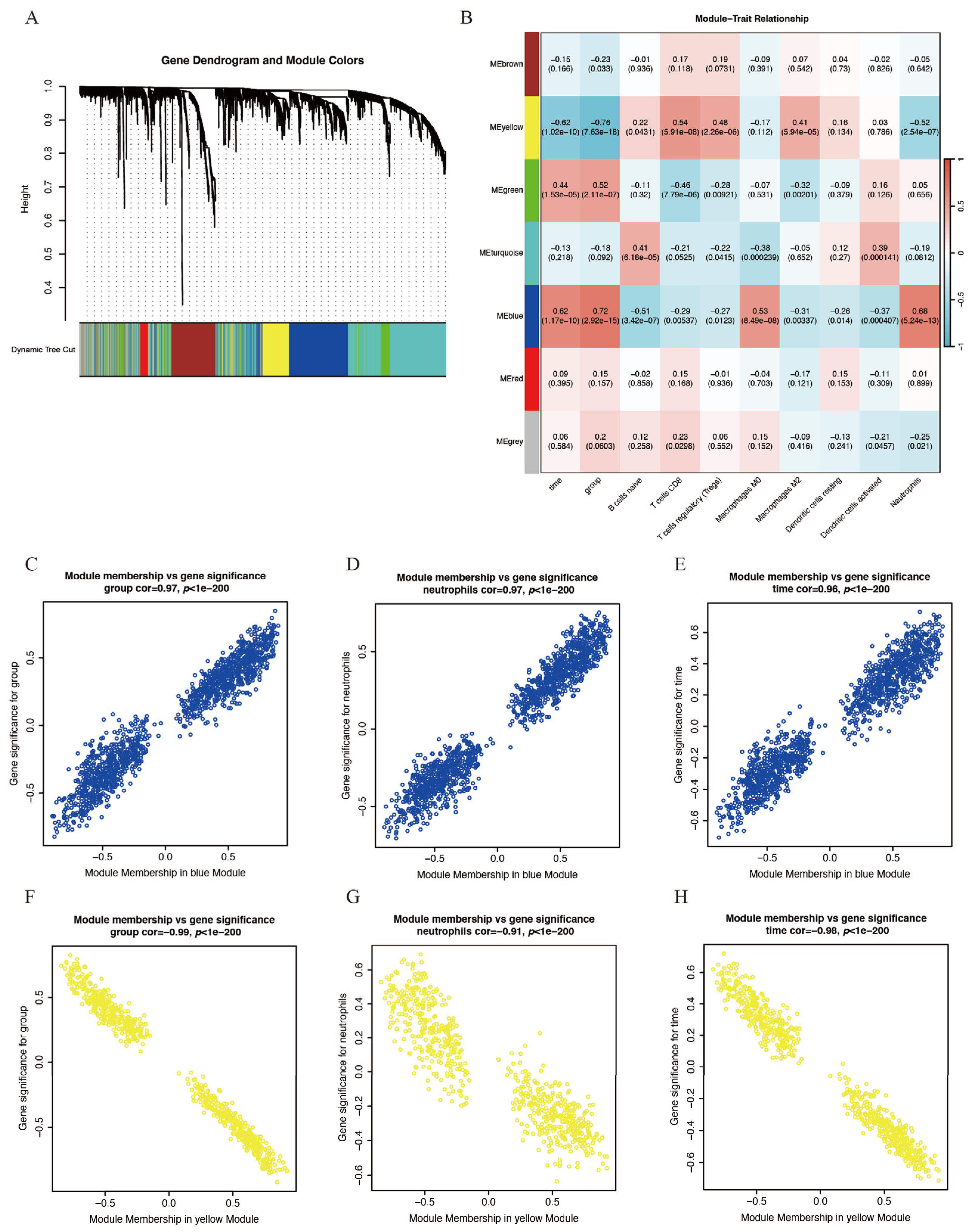 Biomedicines 14 00375 g003