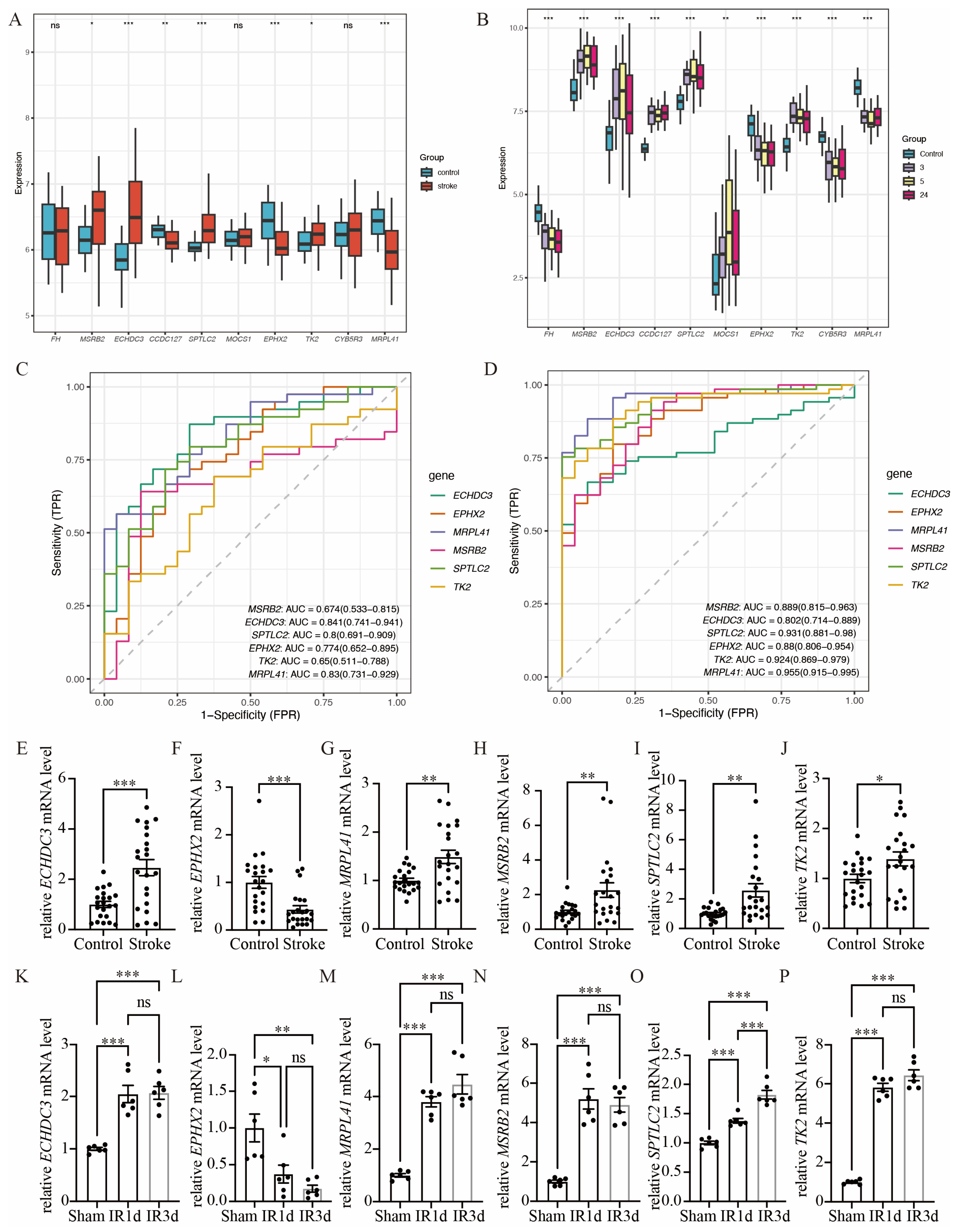Biomedicines 14 00375 g005