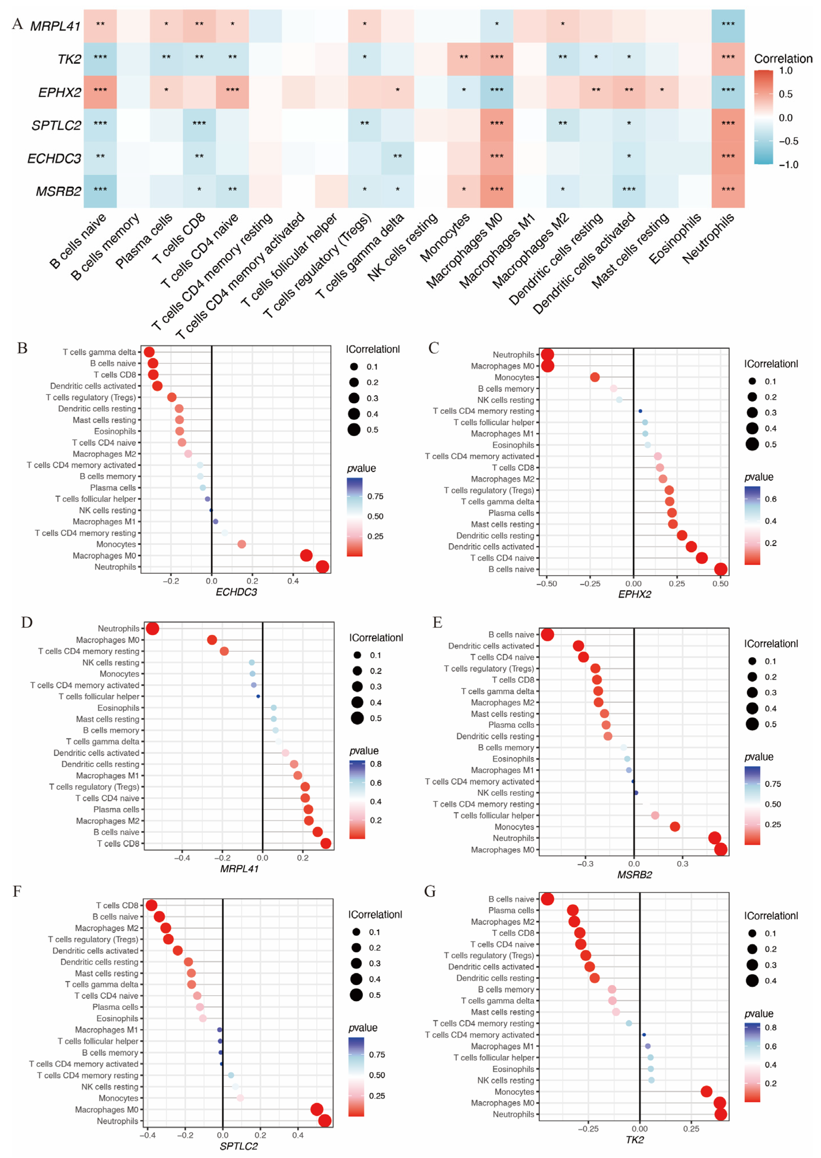 Biomedicines 14 00375 g006