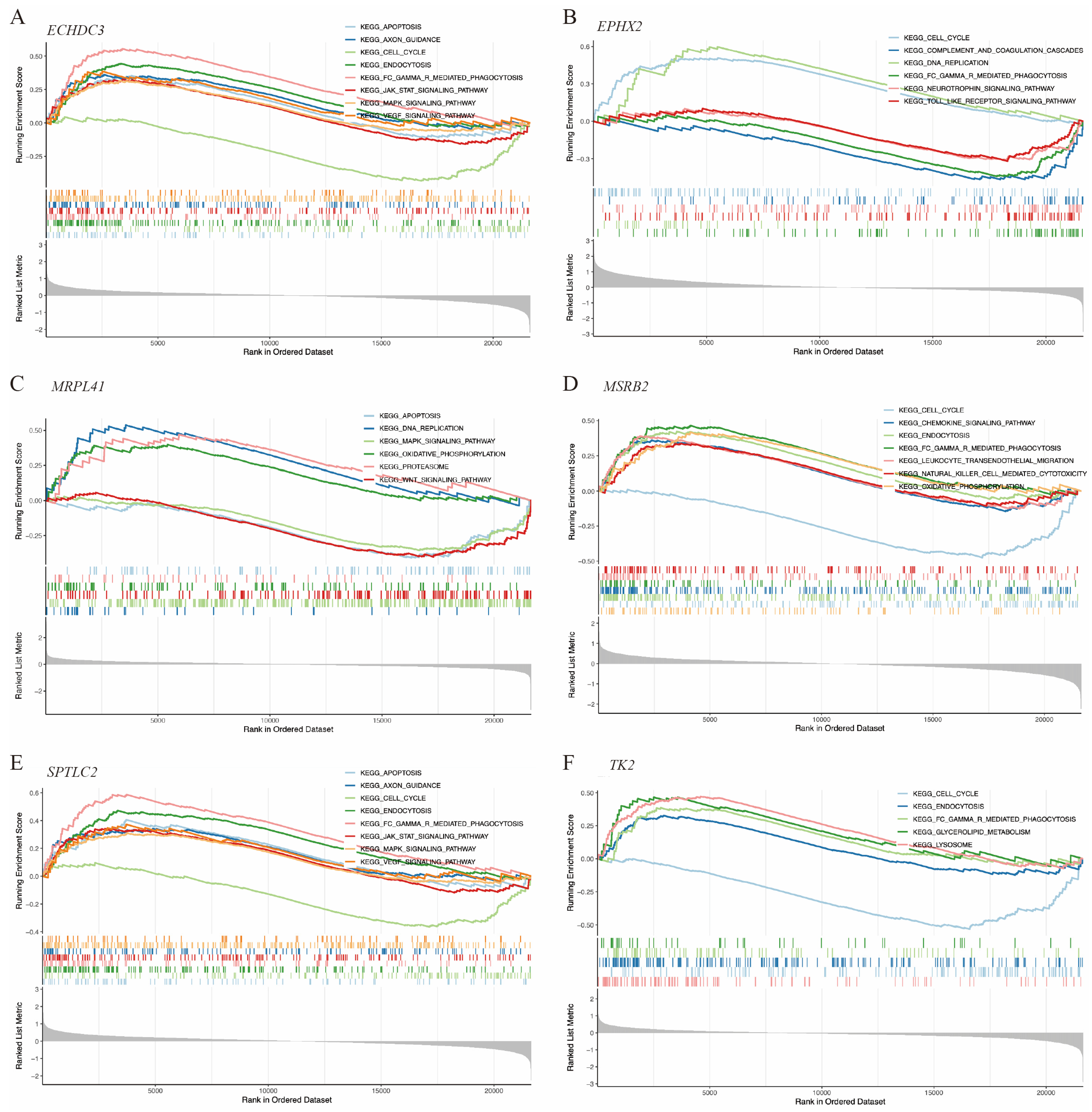 Biomedicines 14 00375 g007