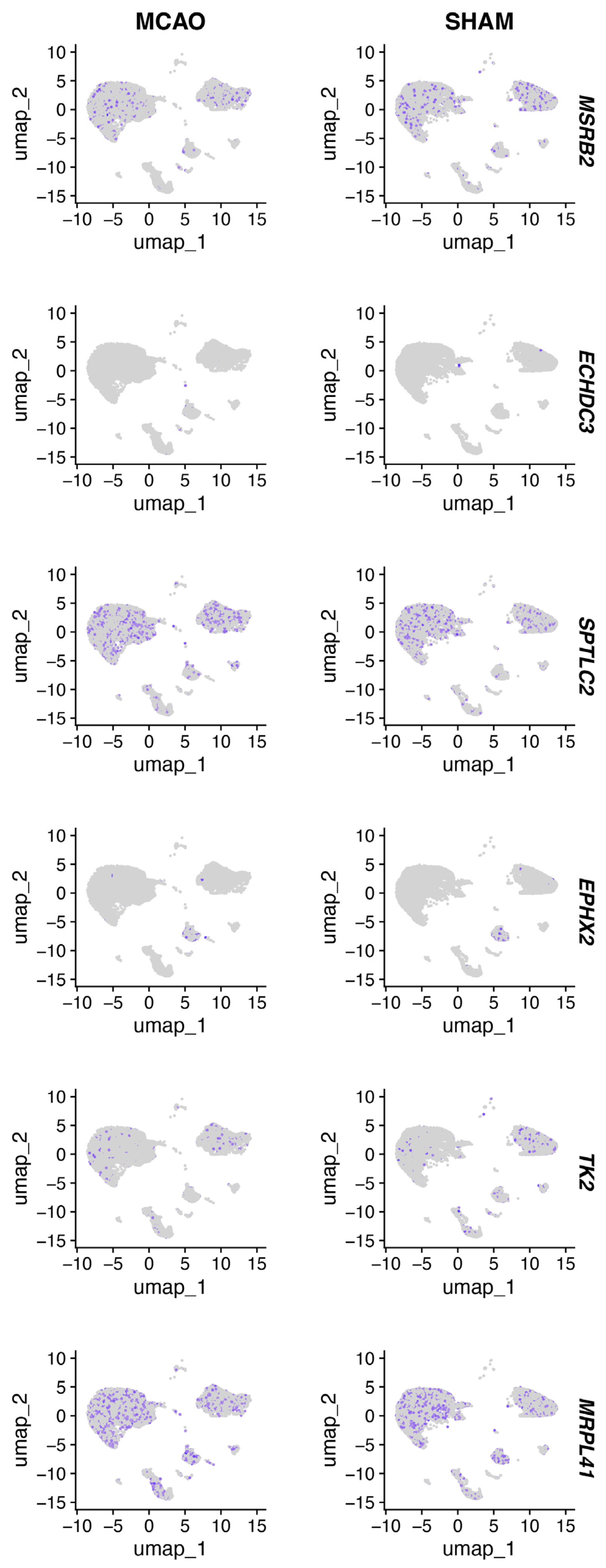 Biomedicines 14 00375 g010