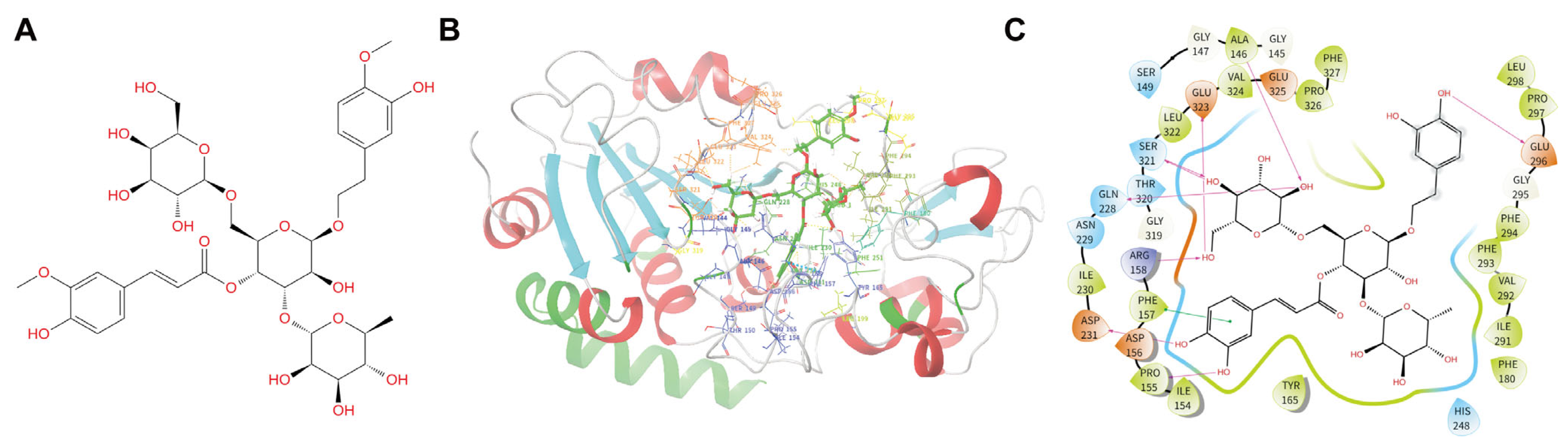 Biomedicines 14 00421 g002 Biomedicines 14 00421 g002