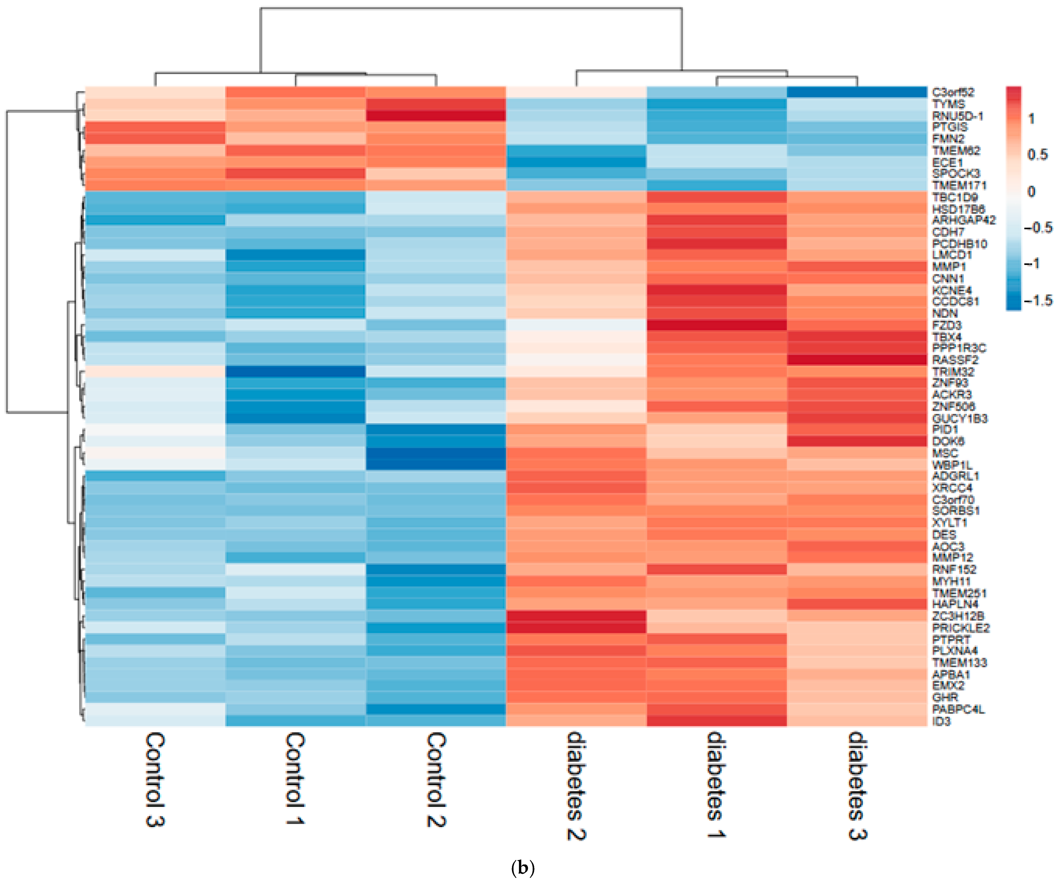 Biomedicines 14 00436 g001b