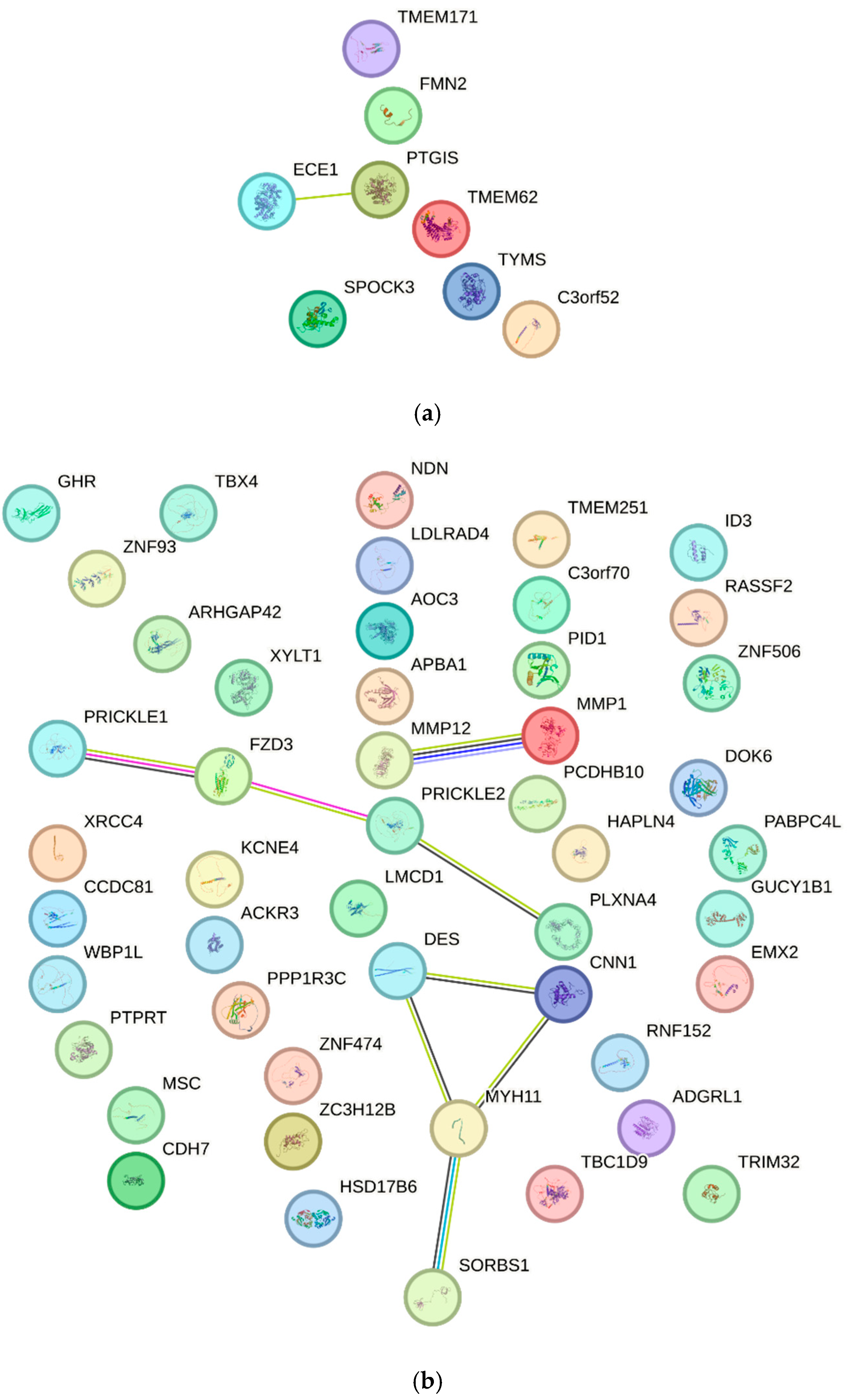 Biomedicines 14 00436 g002