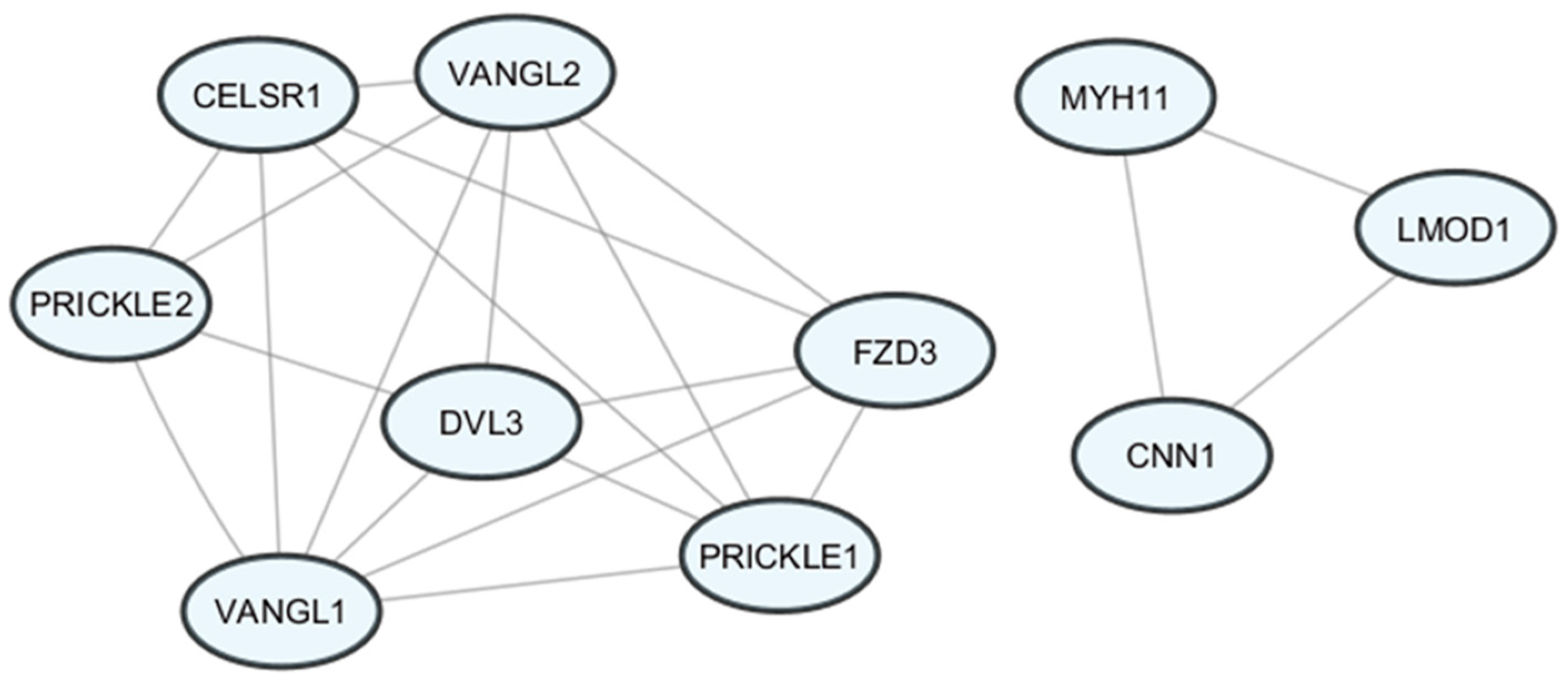 Biomedicines 14 00436 g004
