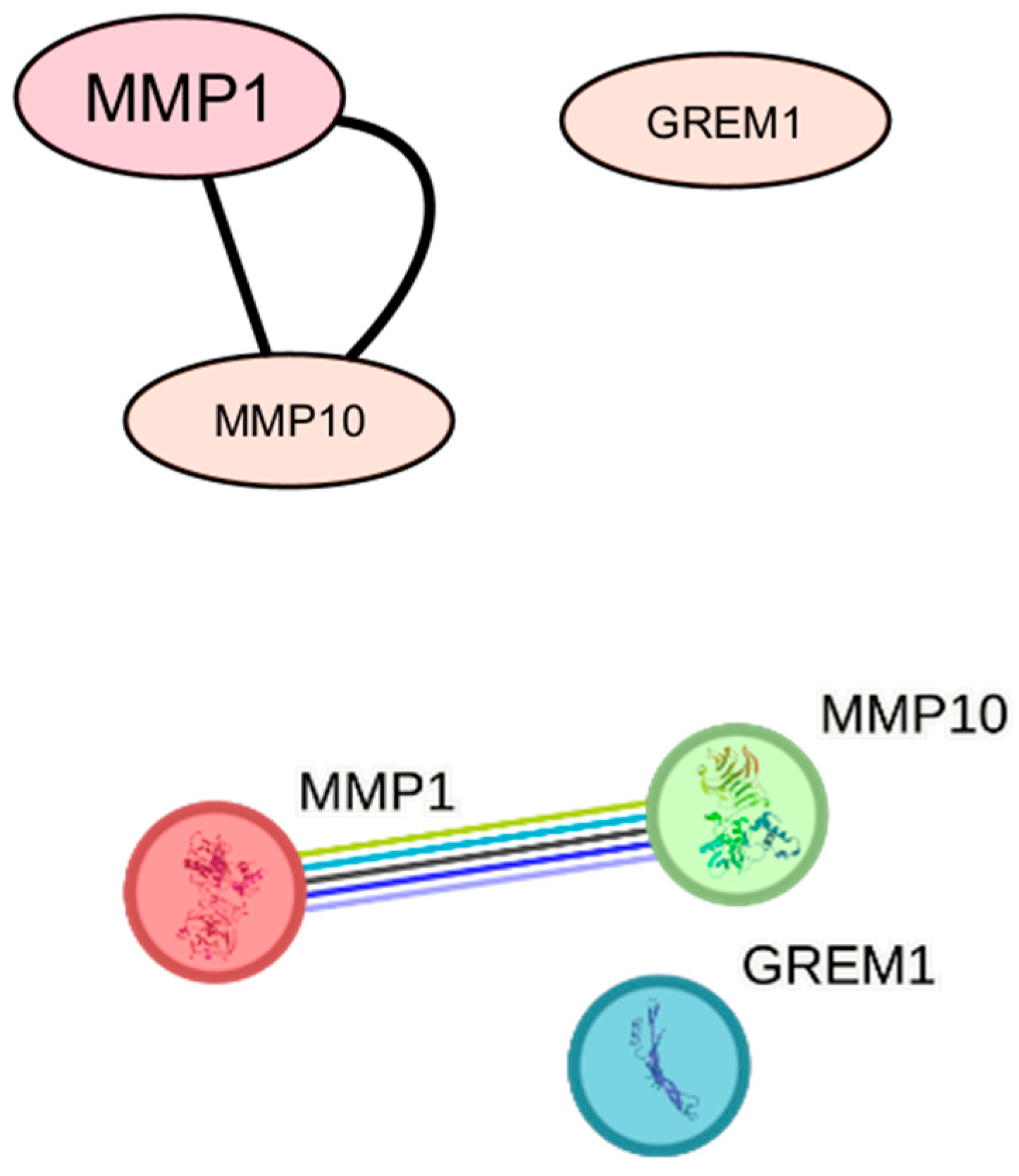 Biomedicines 14 00436 g006