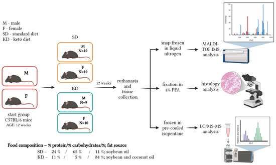 Biomedicines 14 00462 g001