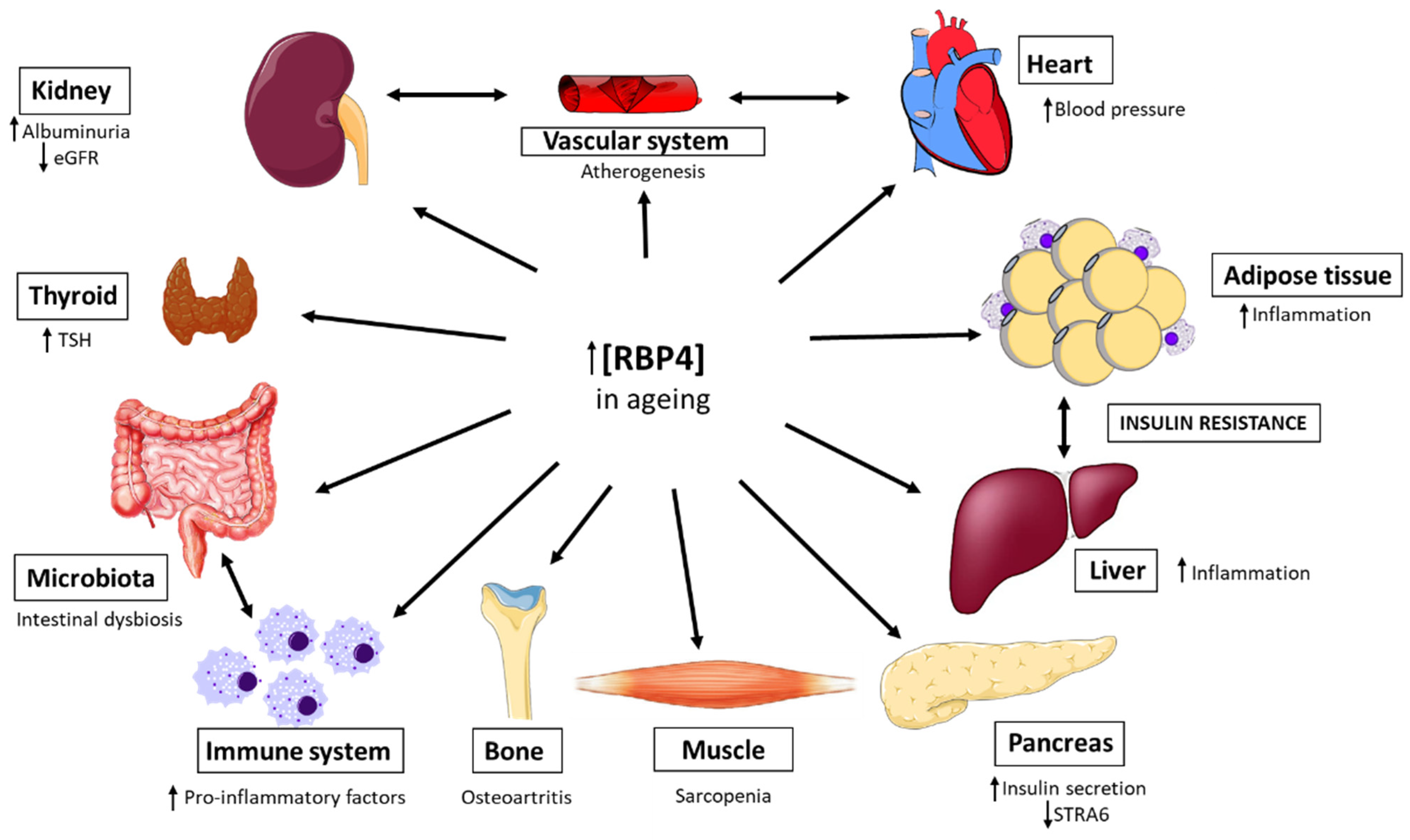 Biomedicines 14 00463 g001 Biomedicines 14 00463 g001