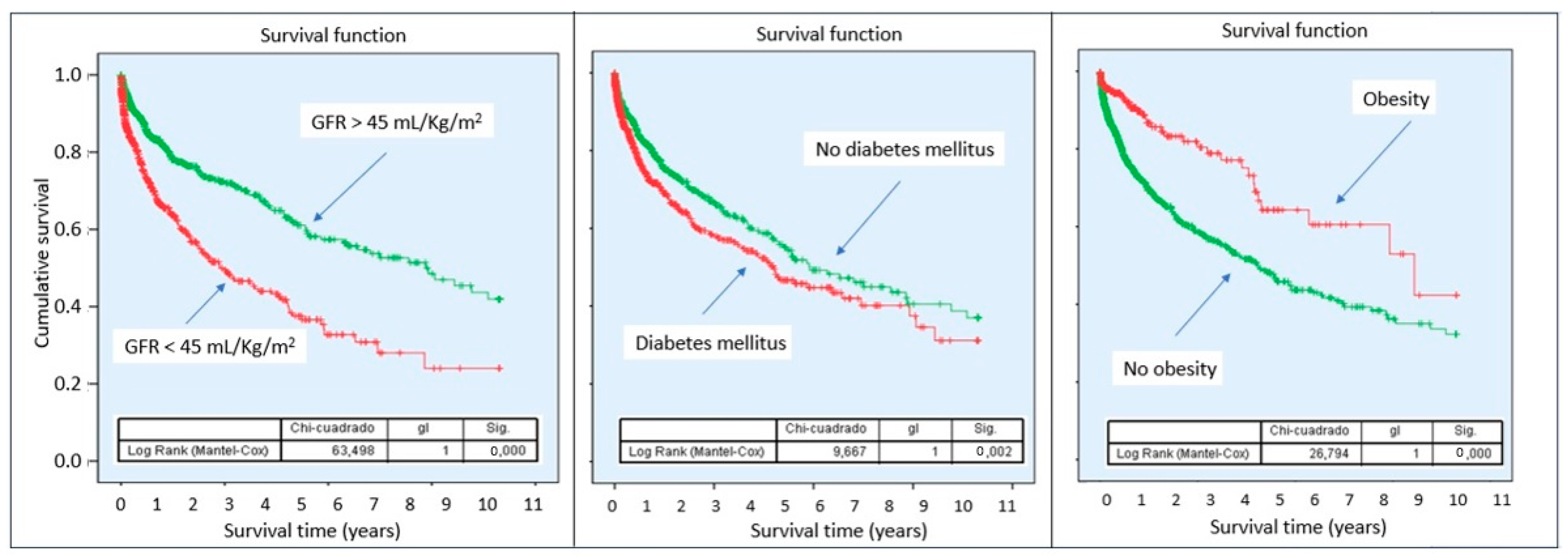 Biomedicines 14 00467 g003
