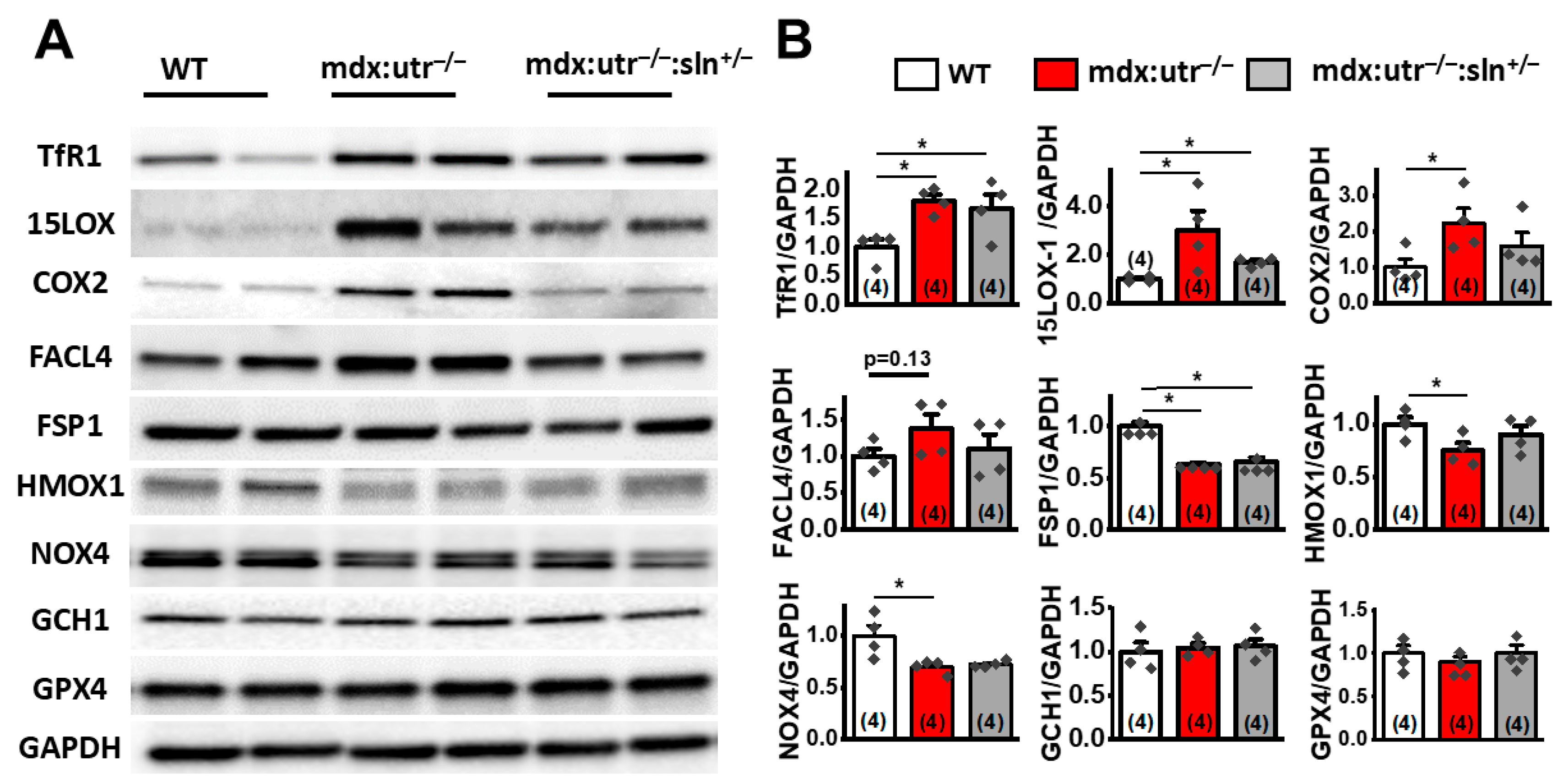 Biomedicines 14 00472 g005