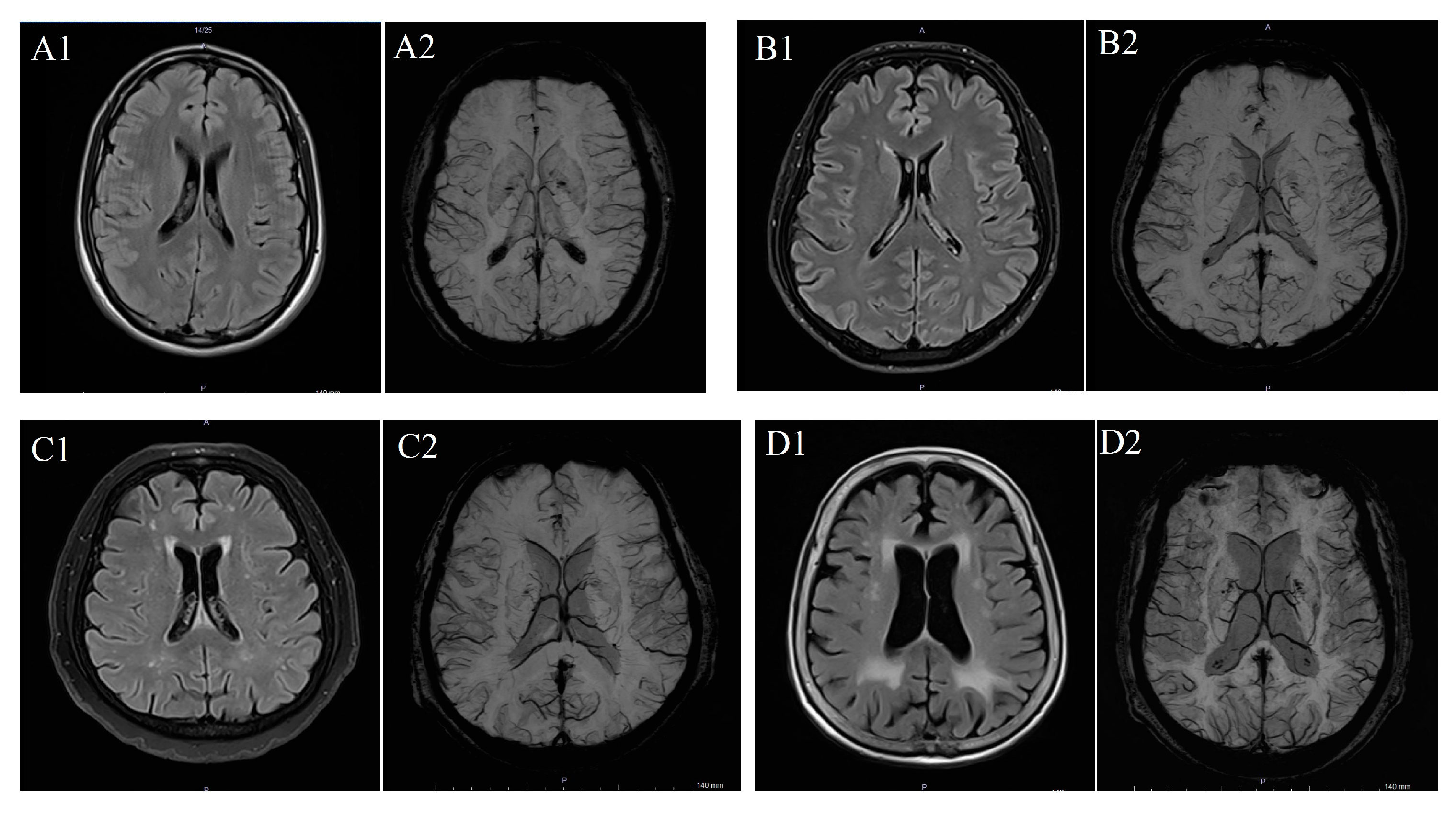Biomedicines 14 00477 g001